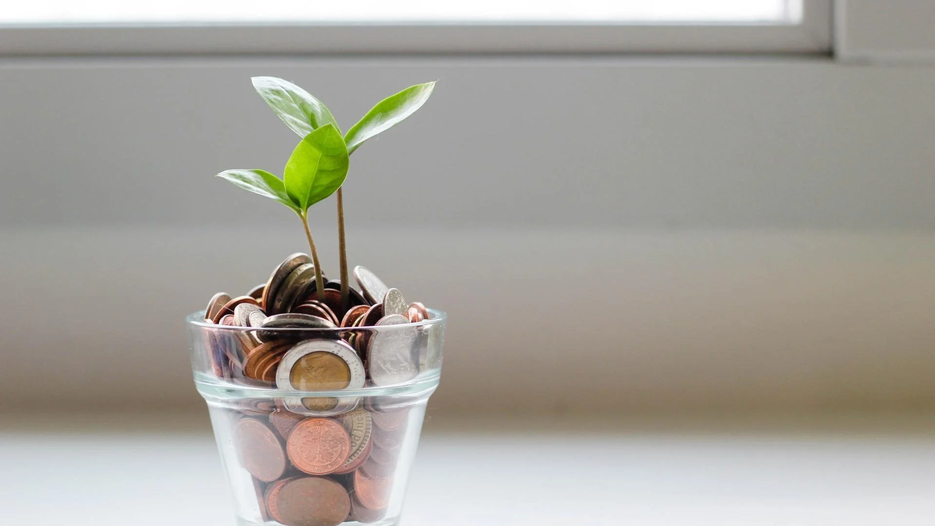 Donation trends during the cost-of-living crisis