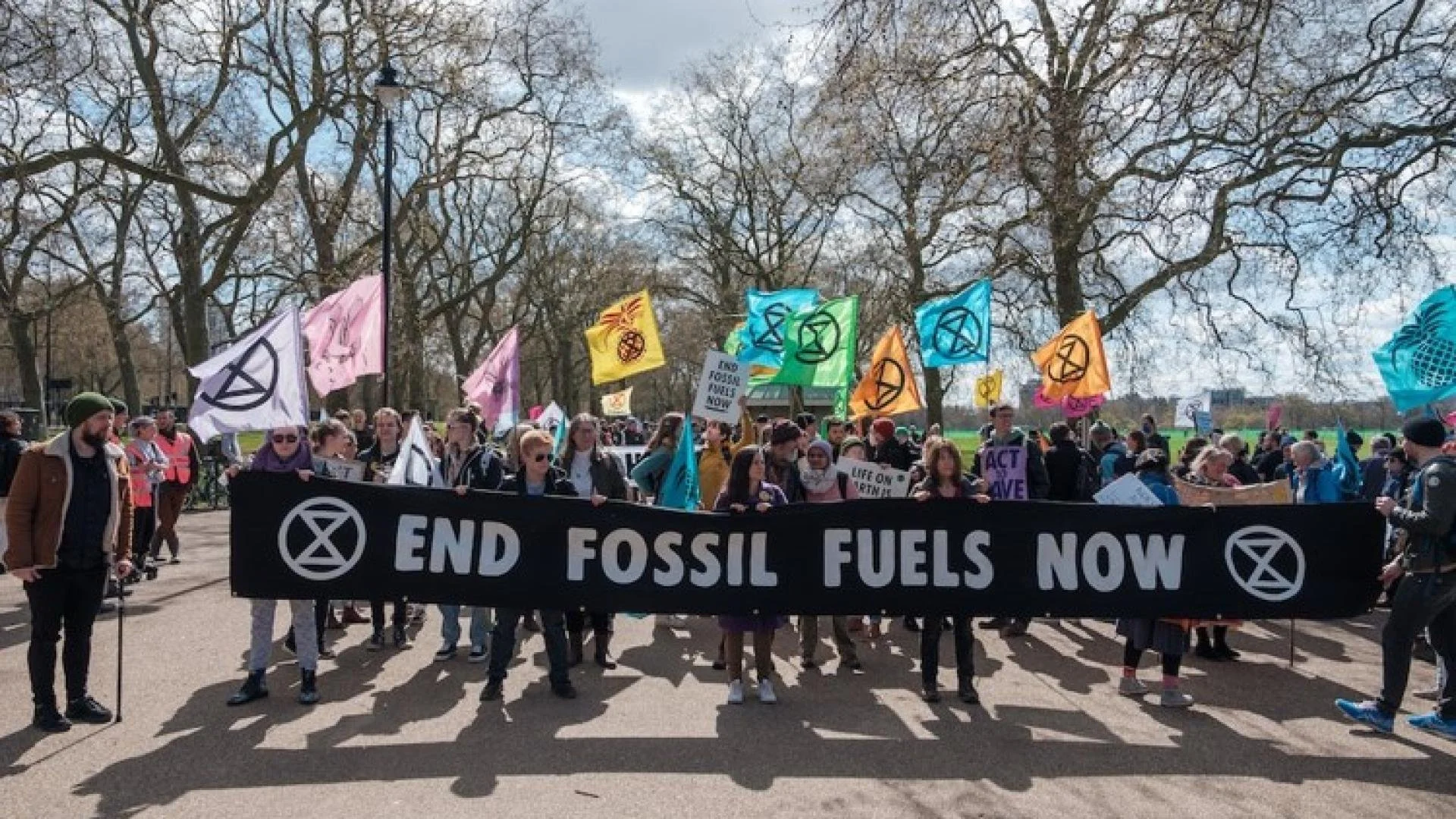 Good Cop, Bad Cop: How environmental charities can take advantage of direct action