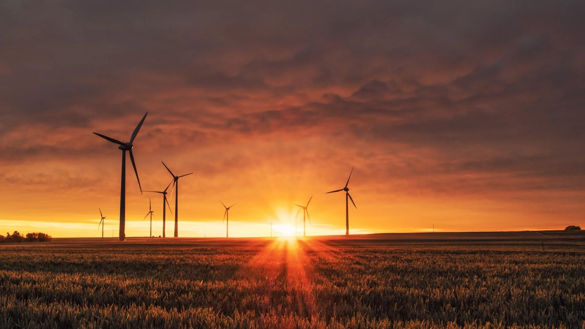 The Climate Challenge: Public Opinion on Climate Change