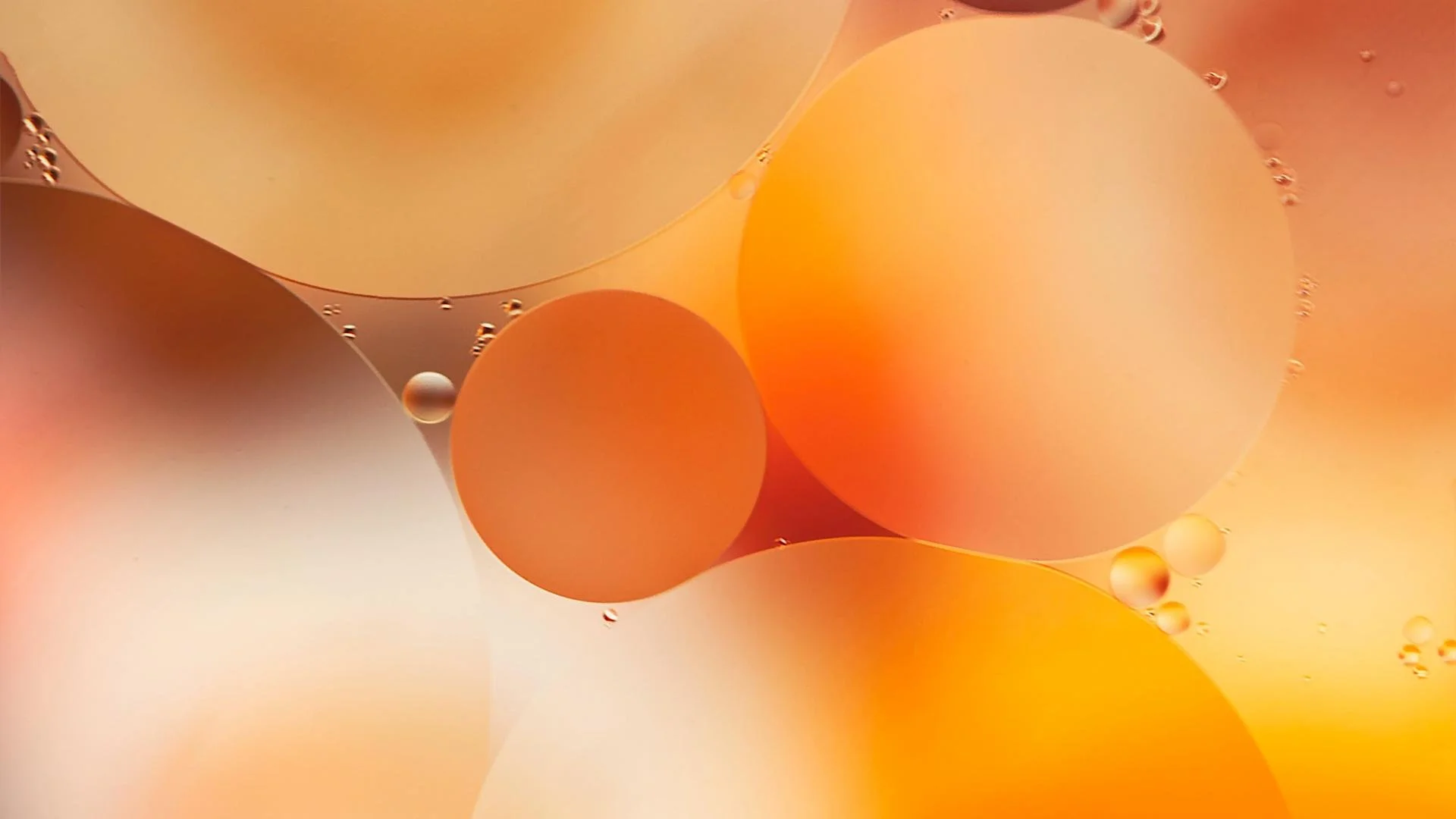 Driving inclusivity in your communications by getting to know your audience