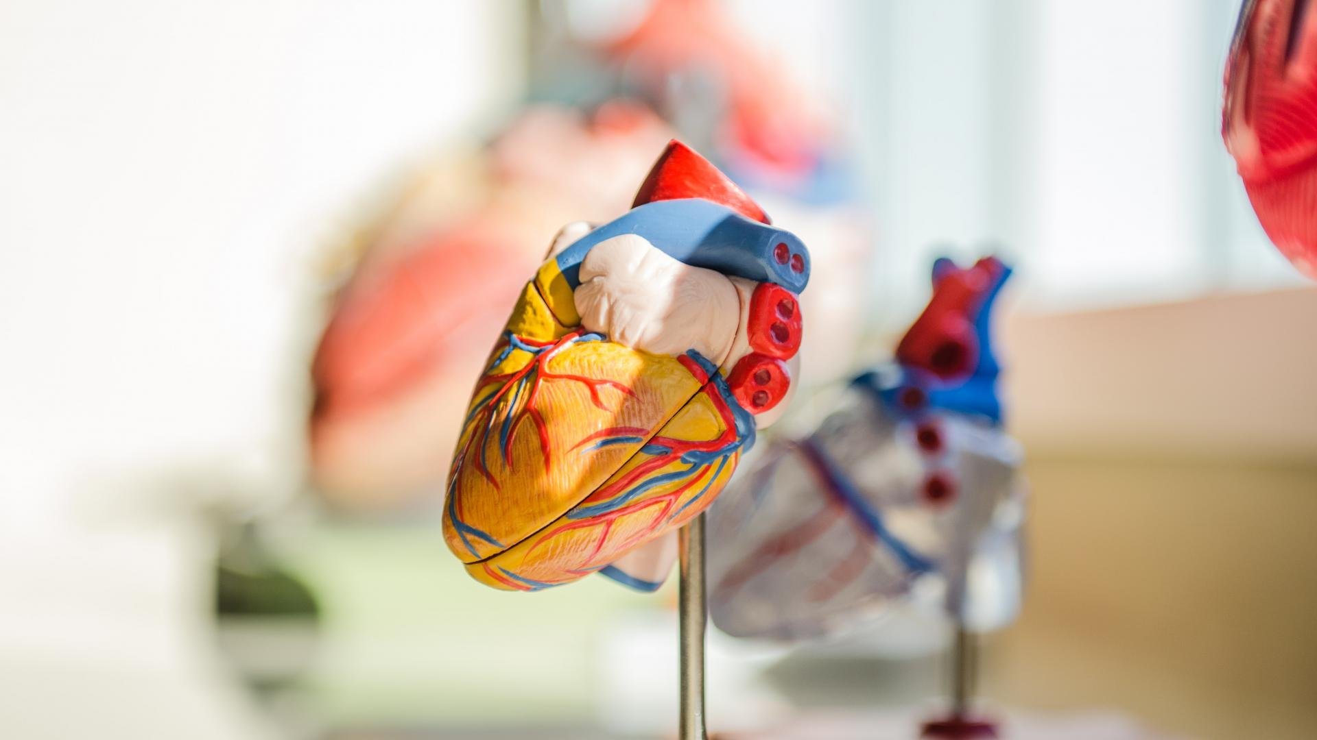 How will charities work with healthcare professionals this year?