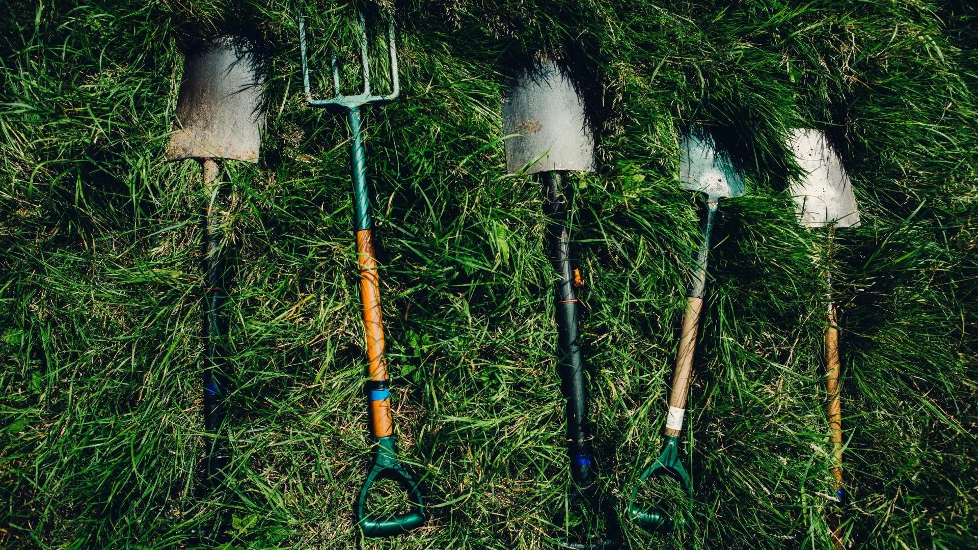 Why we need to talk about ethnicity in volunteering