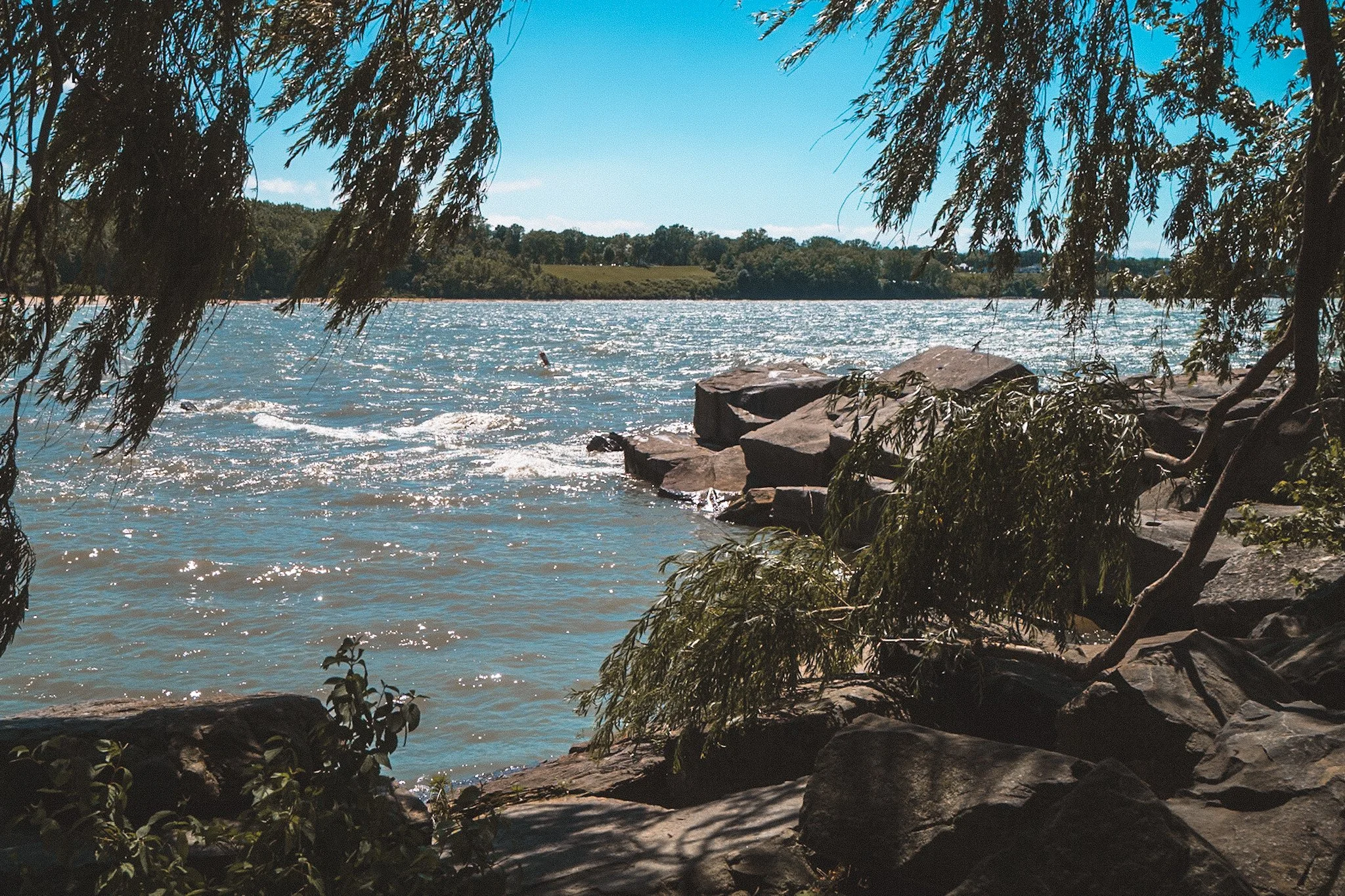 A lakeside view with trees and rocks in the foreground, water sparkling under sunlight, and a clear blue sky.