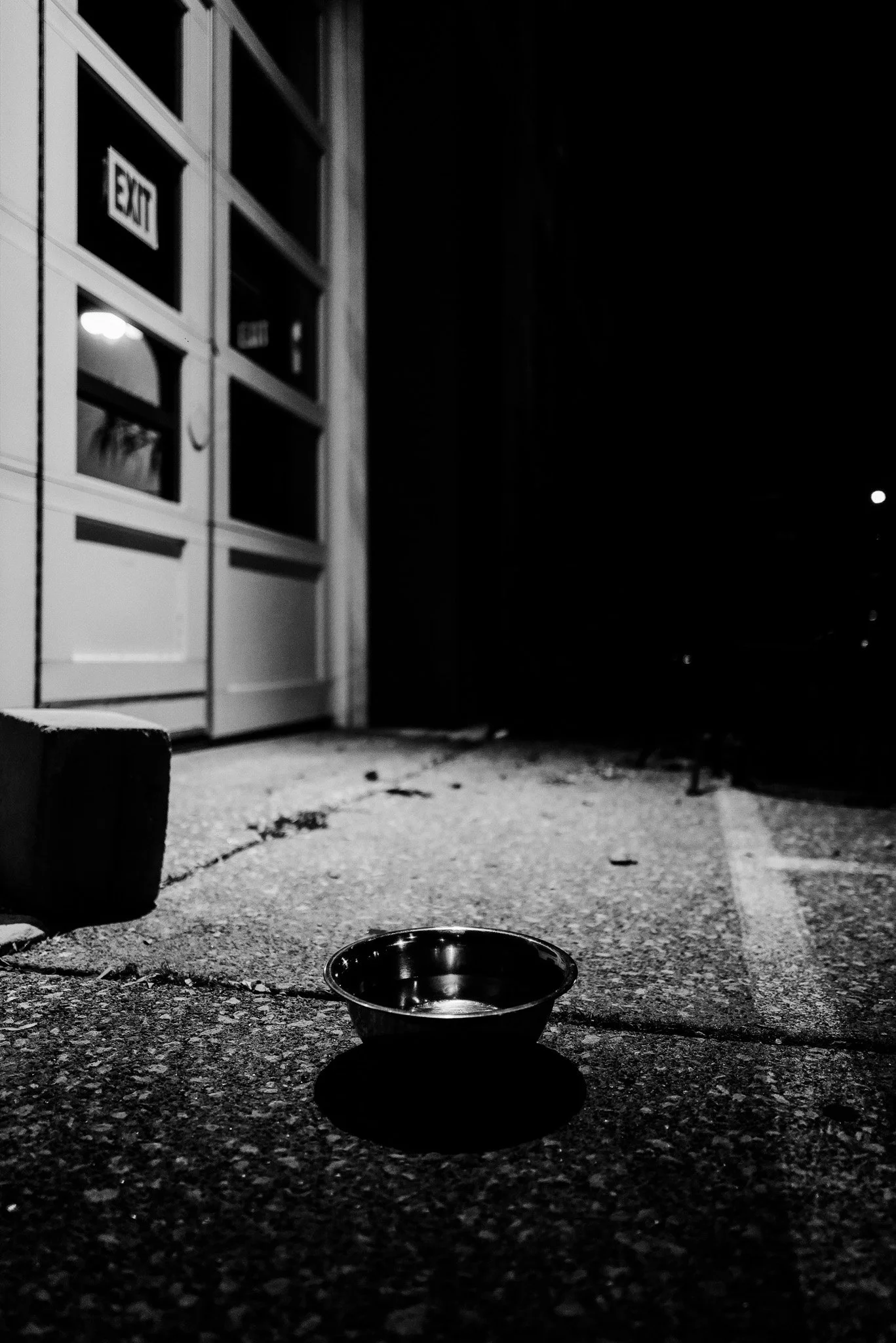 A black and white photo of a dog bowl on a concrete ground, with a building featuring glass windows with 'EXIT' signs in the background at night.