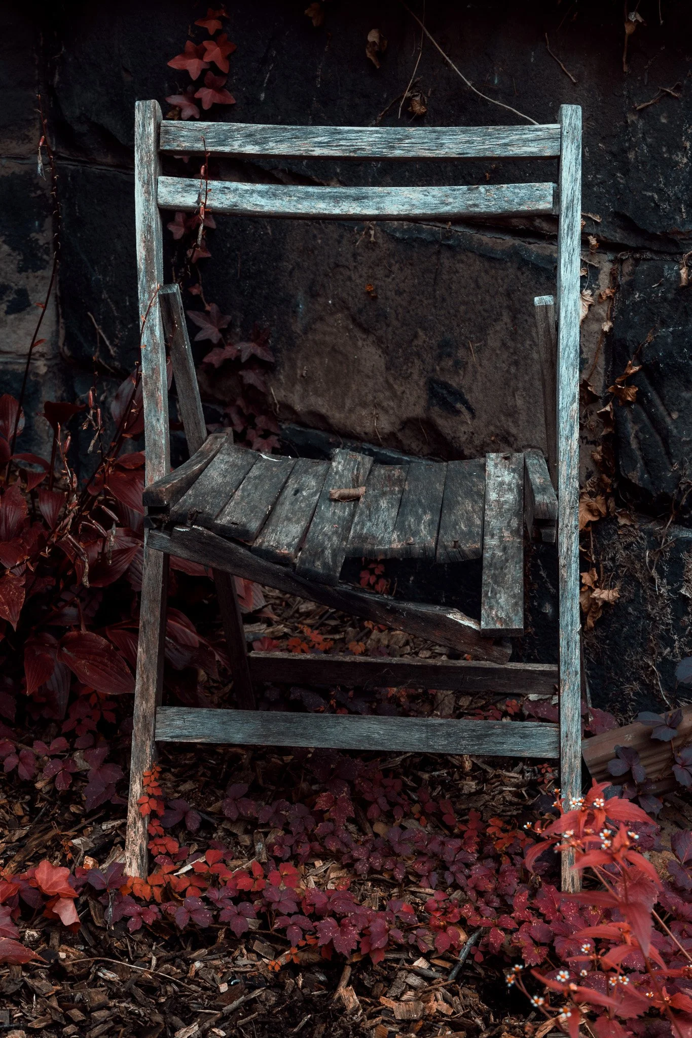 An old, weathered wooden chair placed outdoors against a dark rock wall, surrounded by red and purple leaves on the ground and climbing vines.