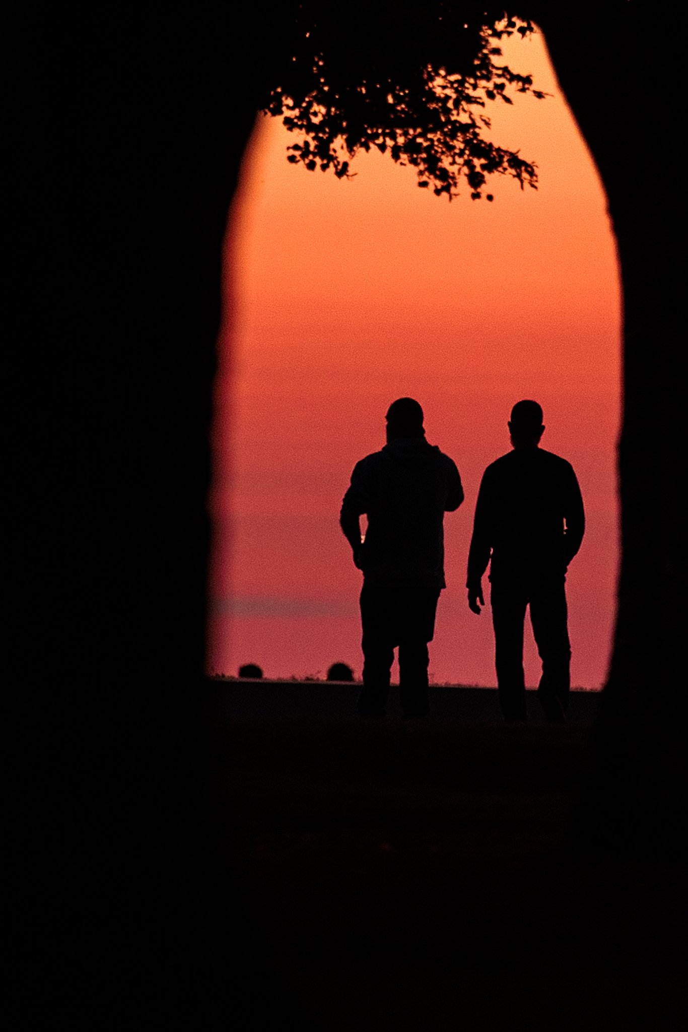 Silhouettes of two people walking during sunset or sunrise with orange sky background and a tree branch overhead.