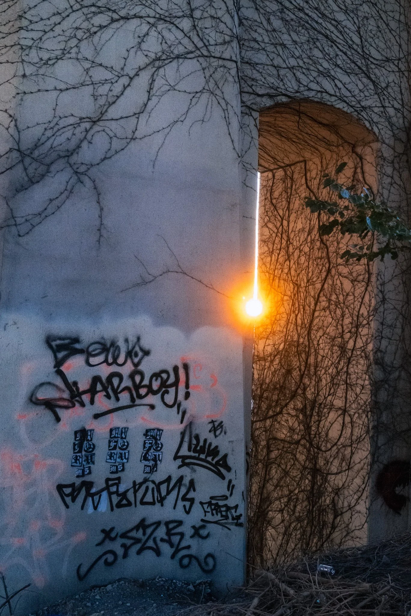 A wall with graffiti art and a large painting of a sunset or sunrise behind it. The graffiti includes various tags and words, with some parts in black and blue. There are leafless tree branches above and around the wall, and the sun or a bright light