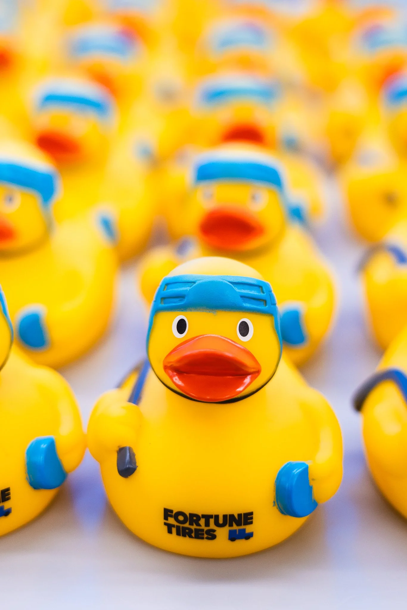 Fortune Tires - Cleveland Monsters Event  - Ducks.jpg