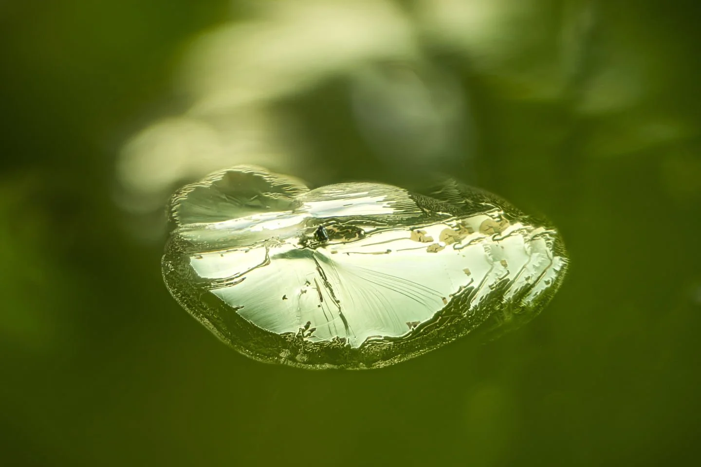 What is this inclusion and where is it found?

This is a lilypad inclusion found in peridot. They are disc-like or radiating patterns caused by stress fractures surrounding minute crystals. They resemble lily pads and form during crystal growth or de