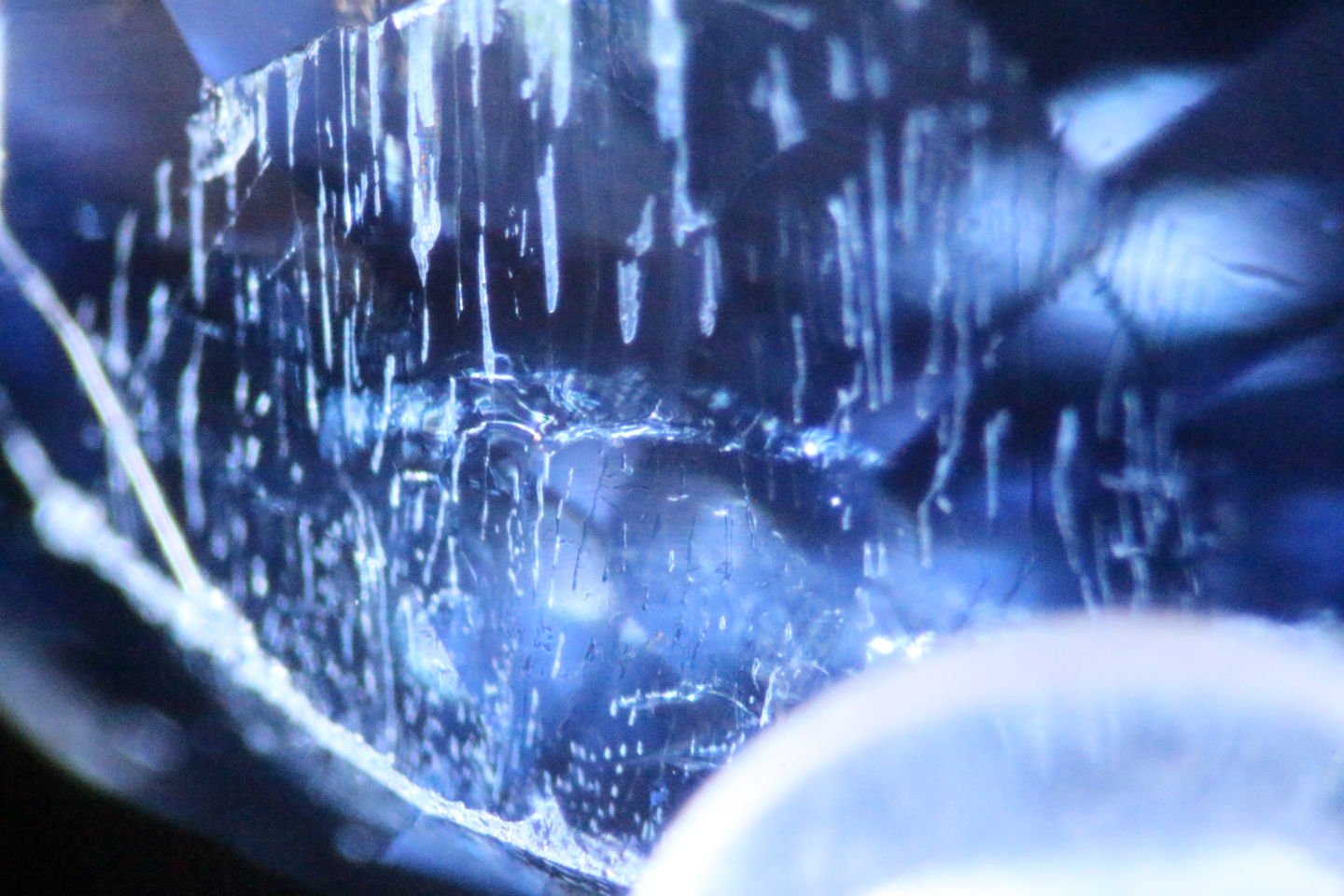One of the most fascinating parts of being a gemmologist is the study of inclusions. 

This is a feather-like inclusion in tanzanite. Feathers are internal fractures or clusters of tiny fluid or gas-filled cavities that resemble delicate feathers. 

