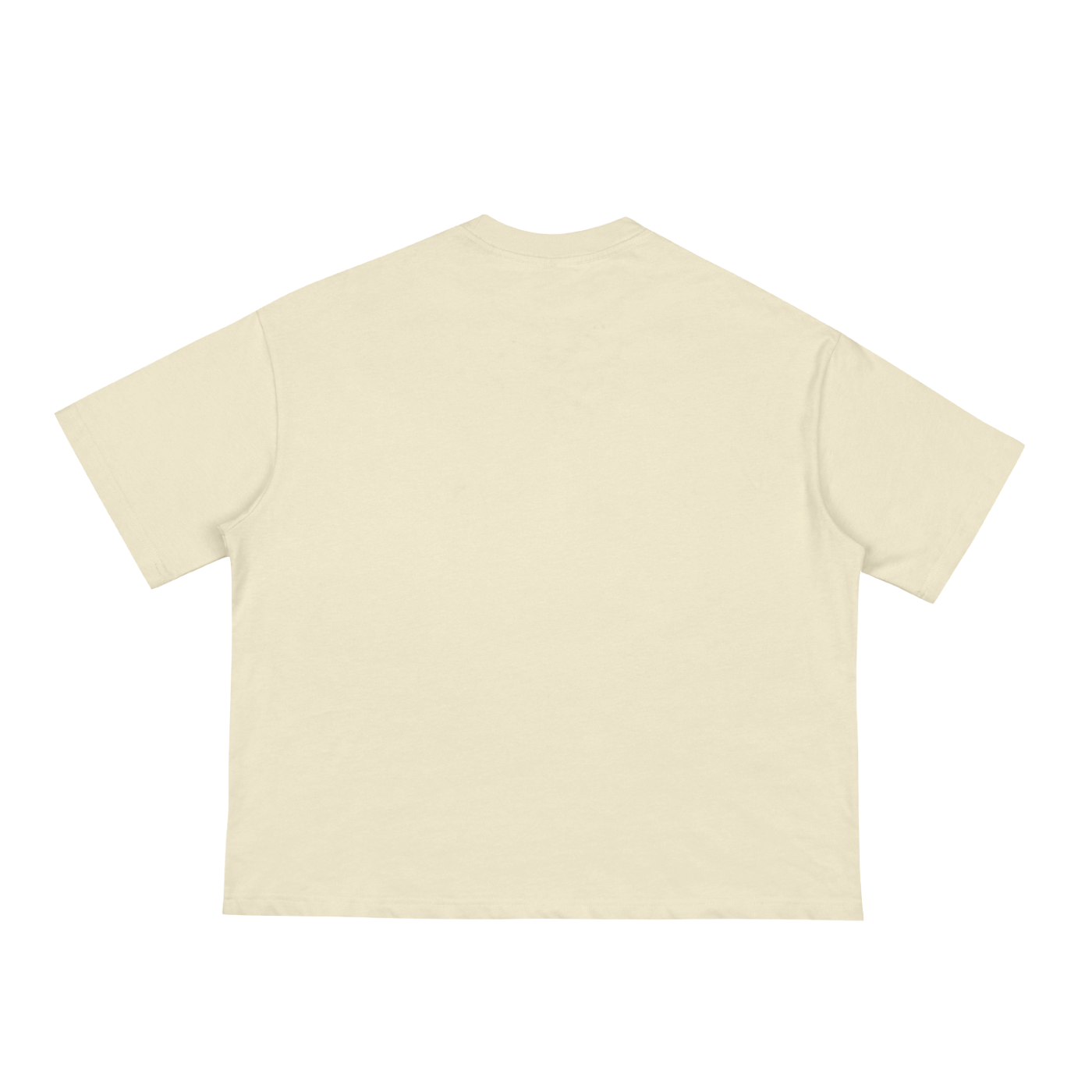 squarespace-upload-temp-2025-03-03-b807aa1e-0b65-4e95-9079-055dcdbcc9467822011970918622123.png