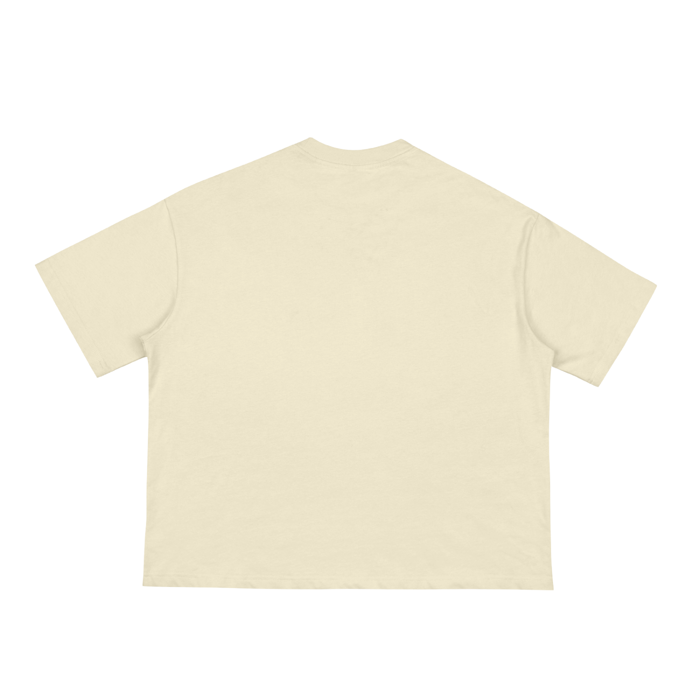 squarespace-upload-temp-2025-03-23-569ca26e-c8e5-4feb-8baa-a8e7ec9375981165292223473638179.png