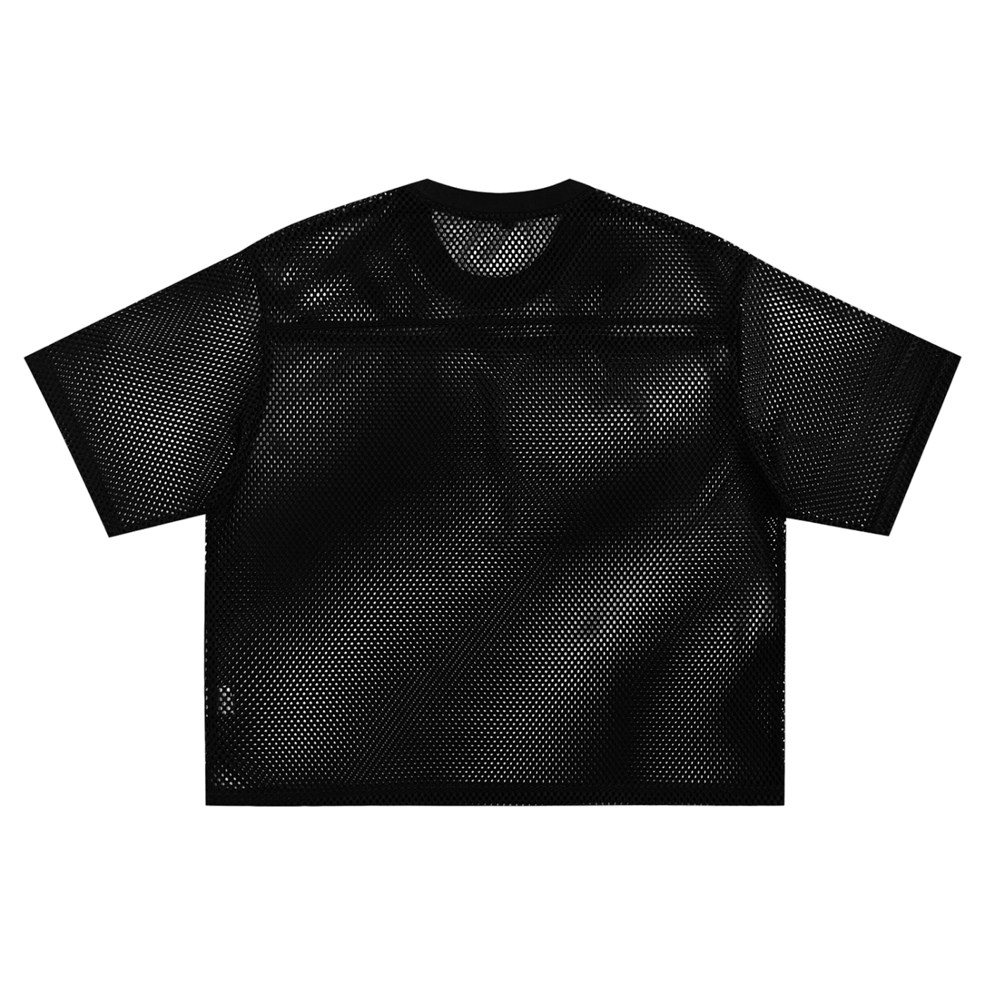 squarespace-upload-temp-2025-04-08-ec1a1fd5-c911-4947-88ea-f4e24d9bb9e21423689664519356419.png
