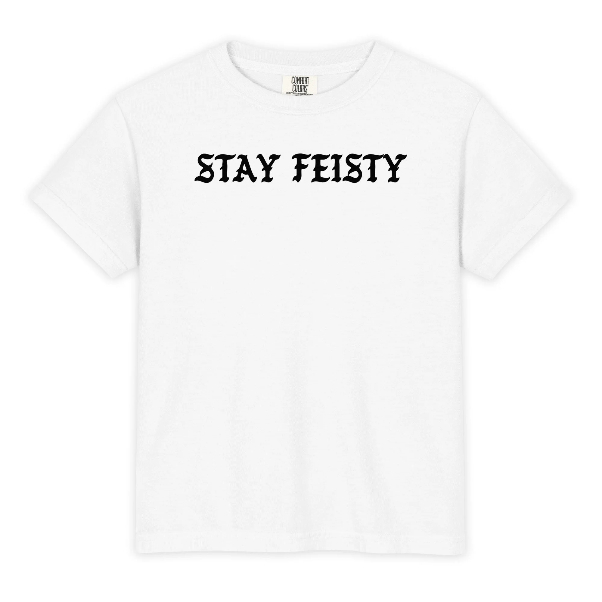 stay feisty x sprinkled spectrum collab youth tee by virgo design benefitting accessible ed team wishlist fulfillment