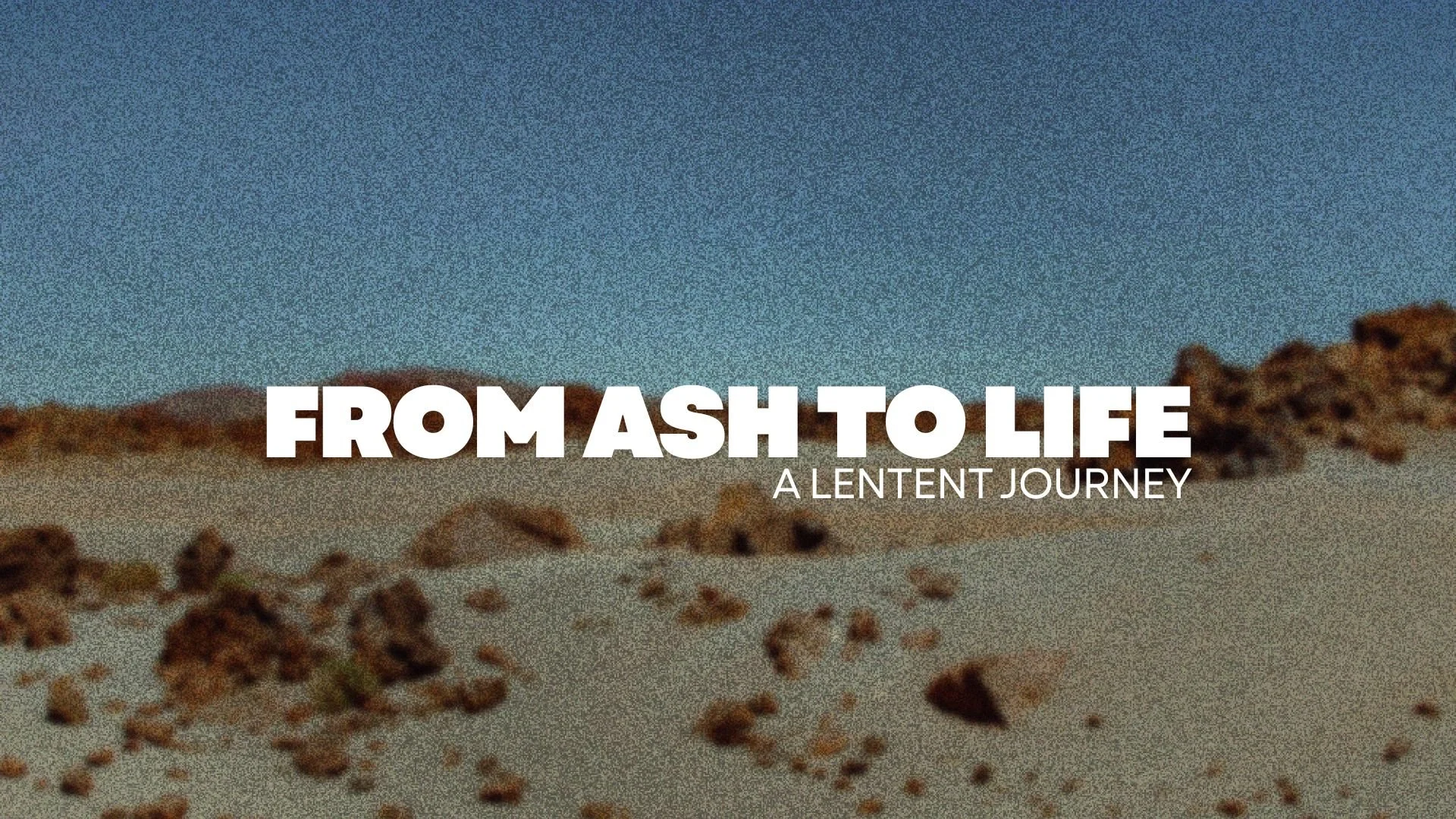 From Ash to Life: A Lenten Journey