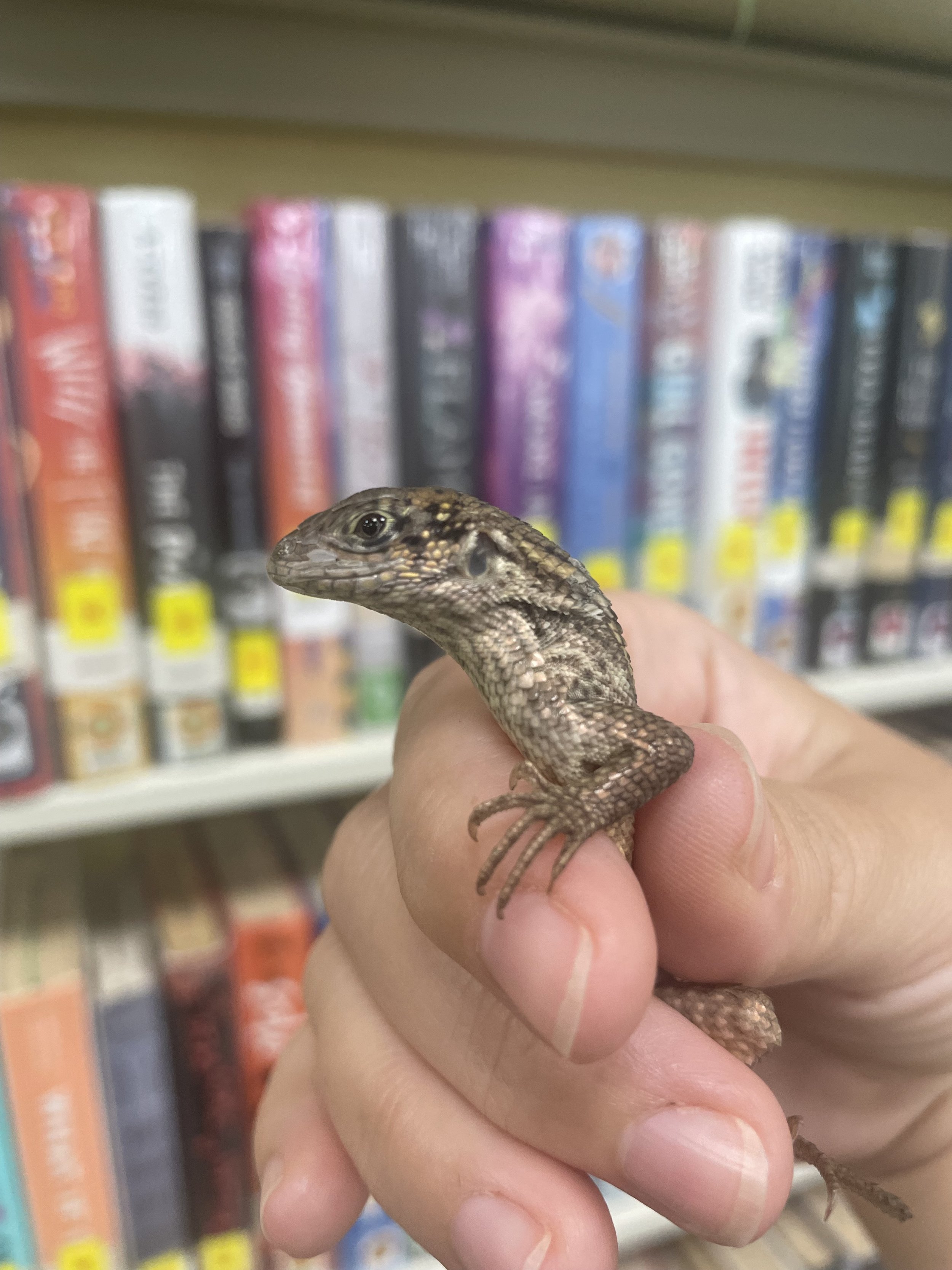 IMG_9801.jpeg