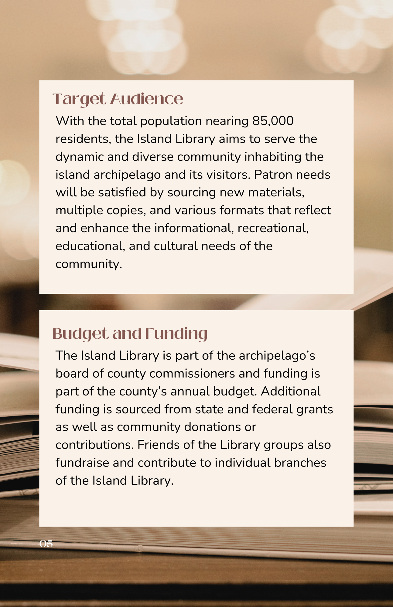 Target Audience and Budget and Funding