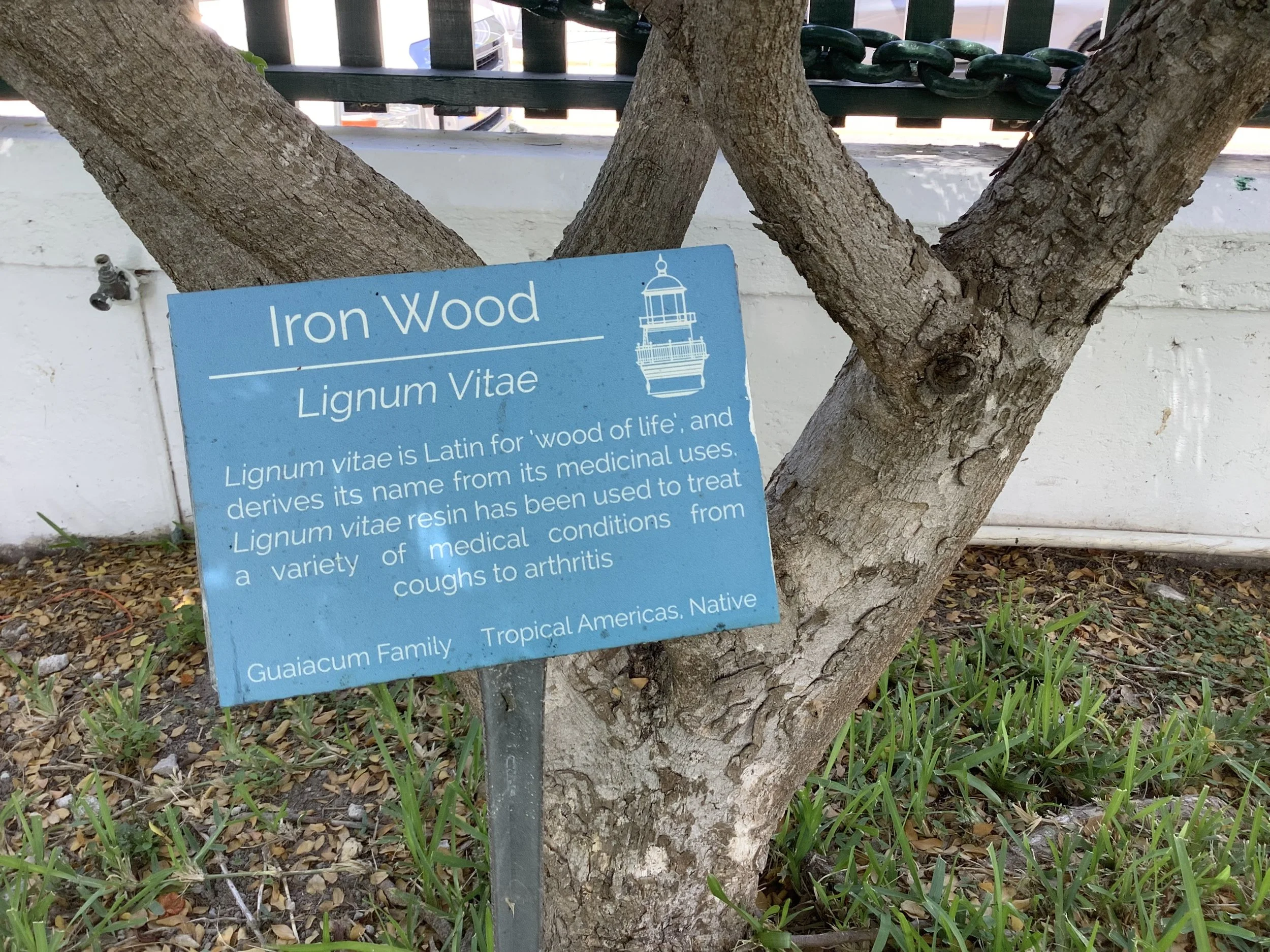 IMG_0307.jpeg