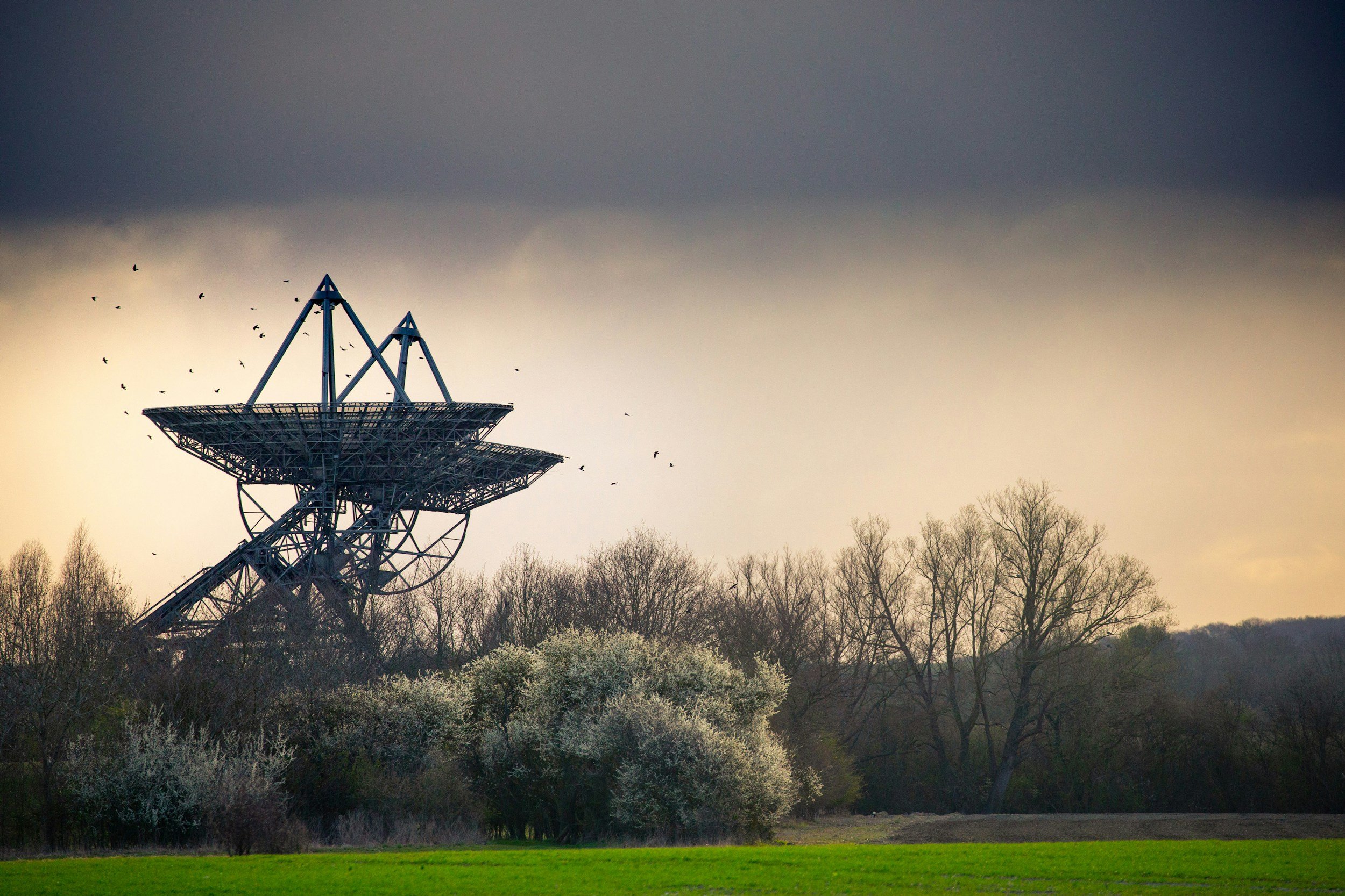 An outdoor scene featuring a large satellite dish radio telescope amid trees and a grassy area, with a cloudy sky and birds flying overhead.