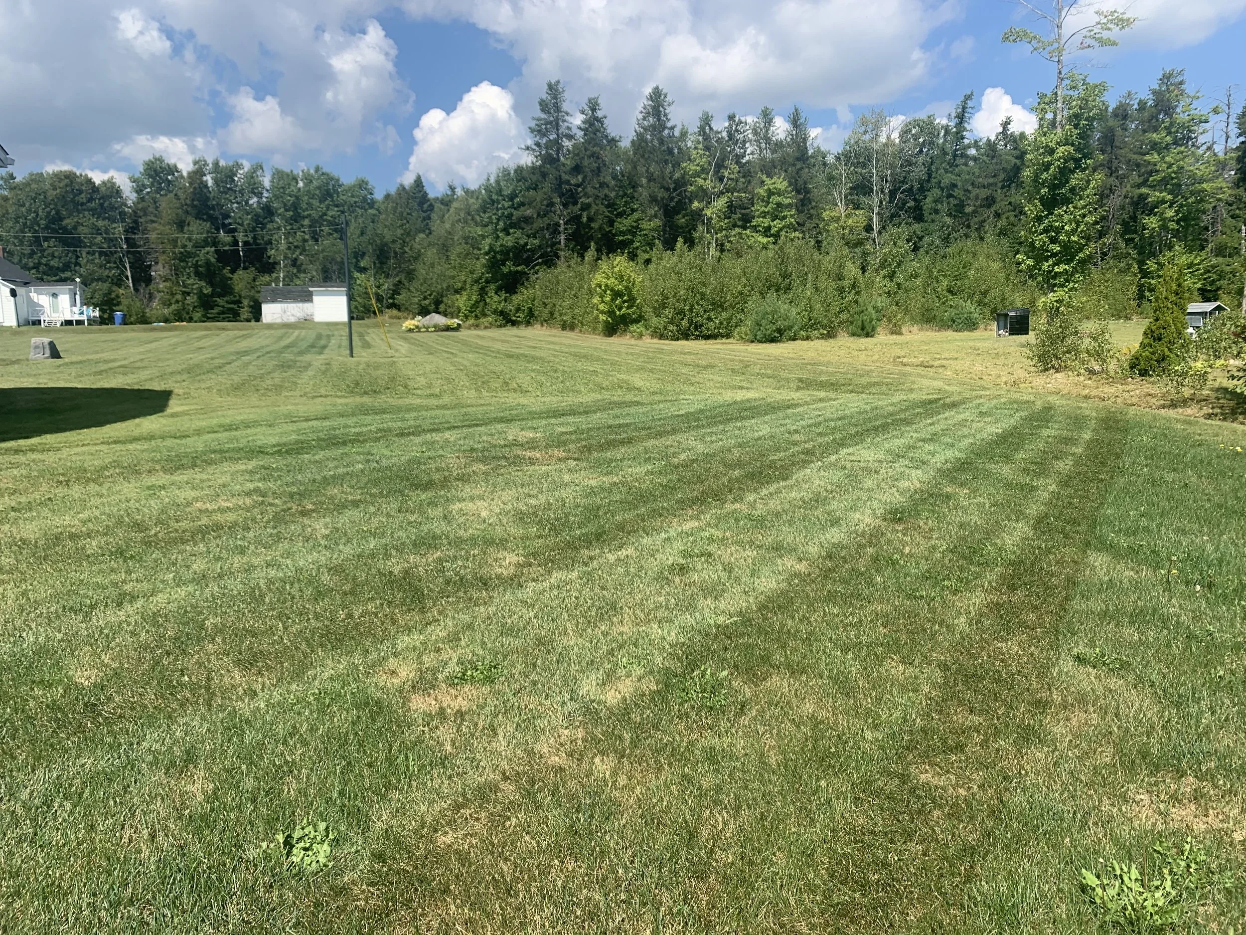 A large grassy lawn with neatly mowed stripes, surrounded by trees and a small building in the background under a partly cloudy sky.