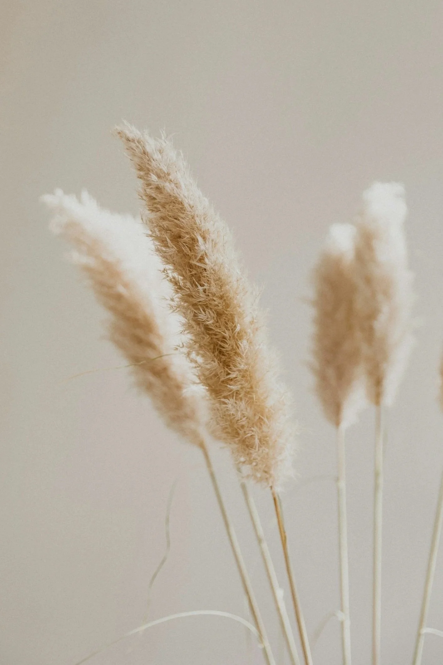 Warm-neutral-decor-detail