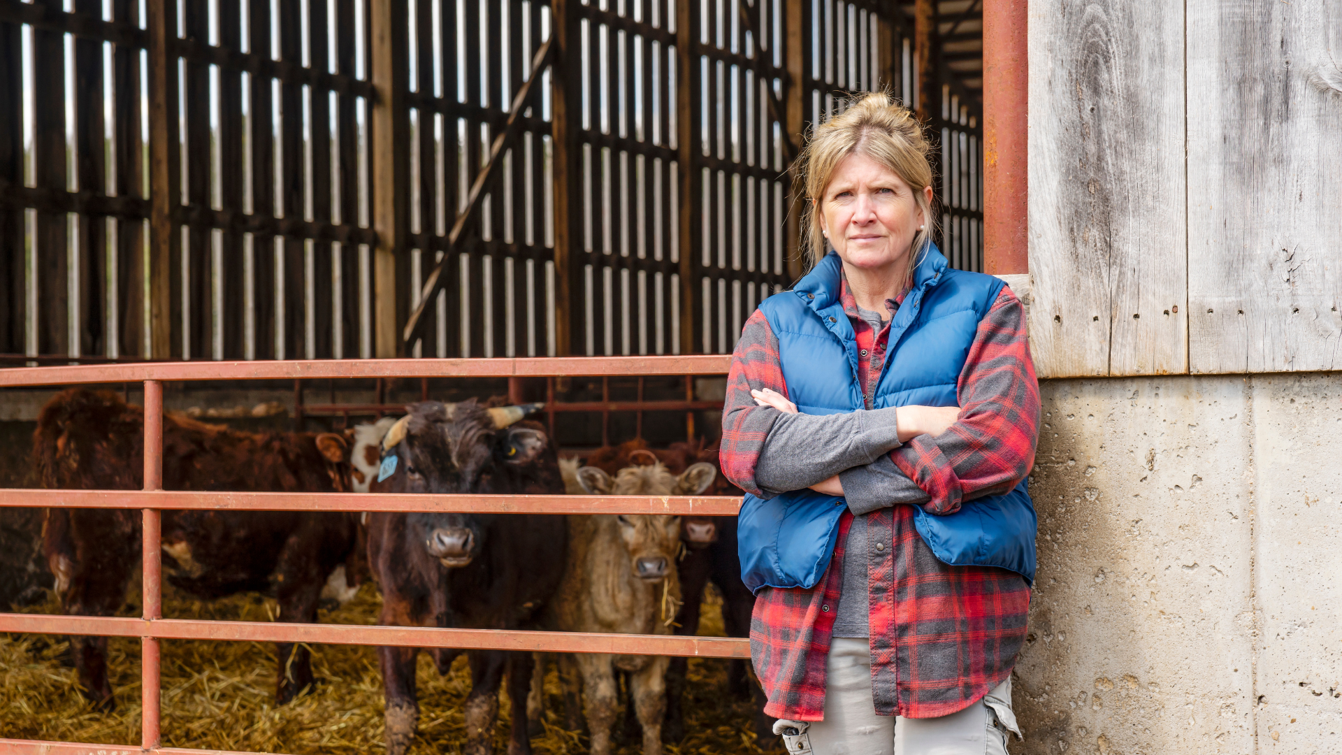 Why Email Marketing is a Game-Changer for Direct-to-Consumer Farms