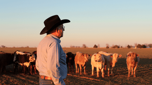 Farm email newsletter example