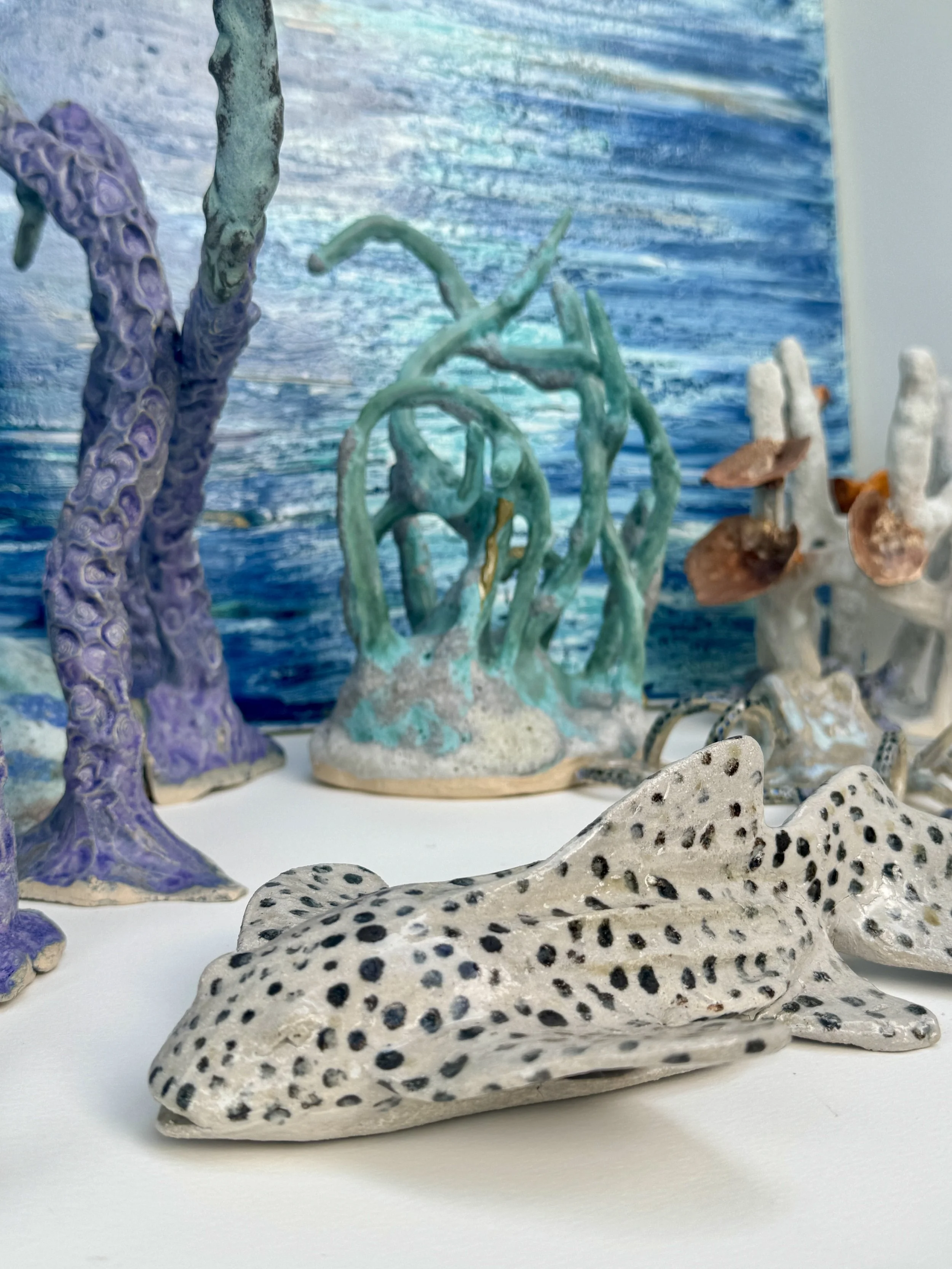Selection of sculpted corals and leopard shark as part of a larger installation of an ocean reef.