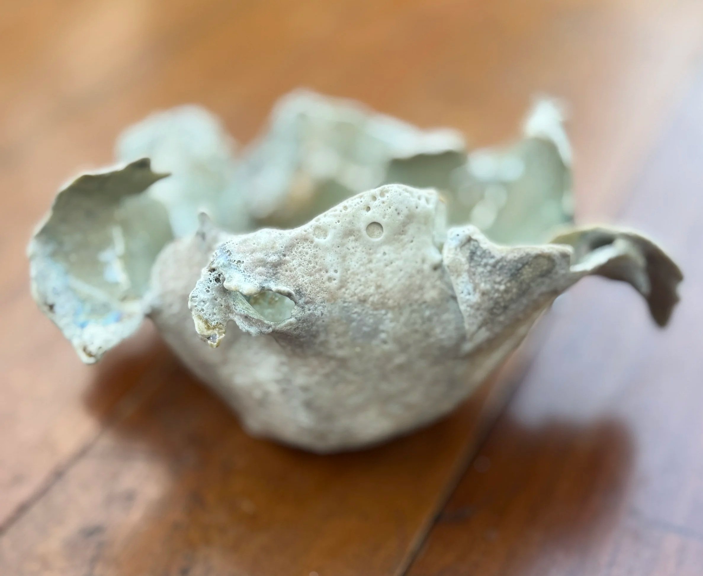 Hand thrown then sculpted boiwl with textured outer casing like a shell with pearlescent interior.