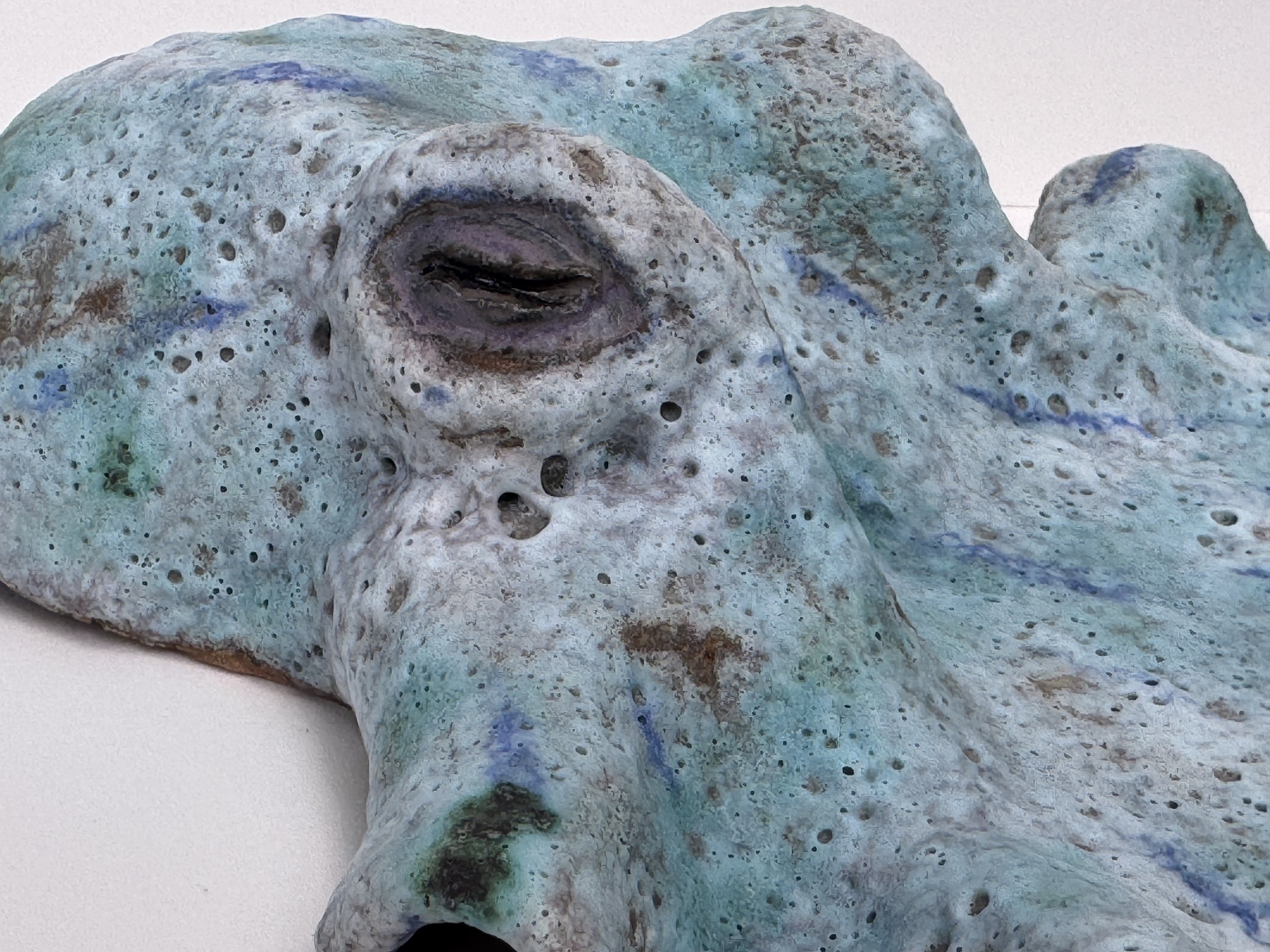 Clay octopus for wall hanging or ornament, sculpted by hand and glazed with crater, swamp lichen and oxide to produce the distinctive mottled and textured camouflage surface of an octopus. She isapprox 45cms long and 30 cms wide.