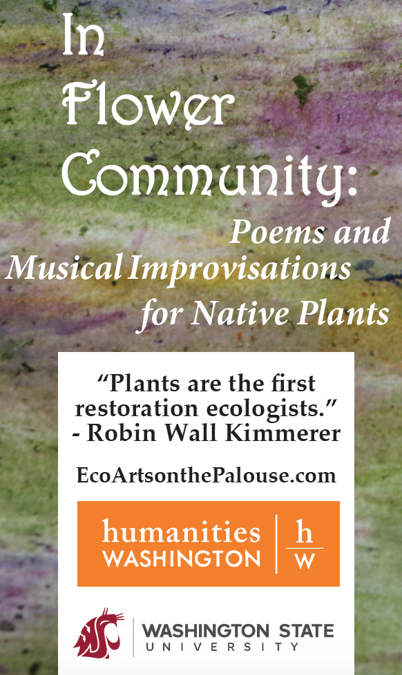 banner crop for wix.png