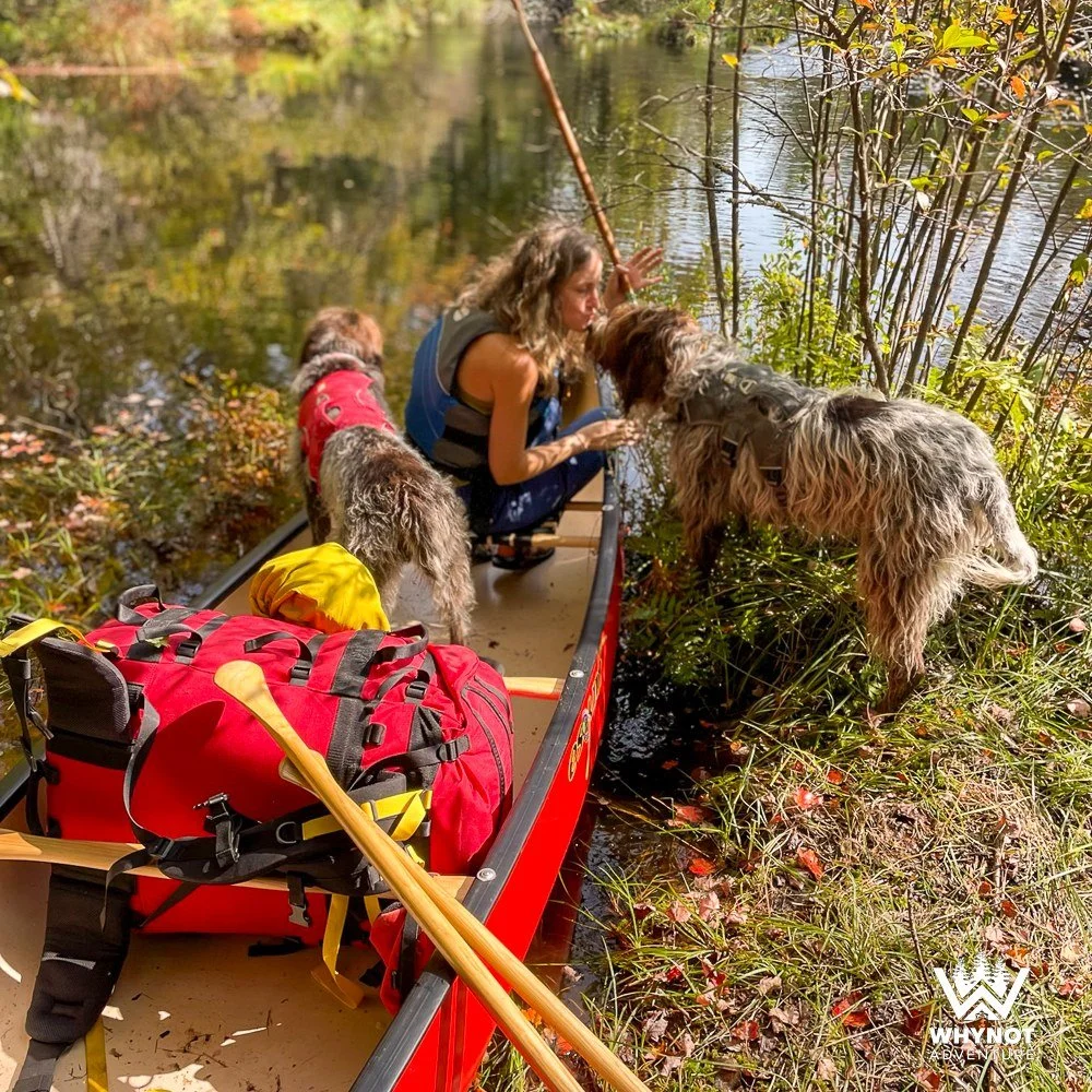 Introducing: The Expedition Canoe Pack -- our favourite canoe pack!

#RBW
#RecreationalBarrelWorks
#WhynotAdventure