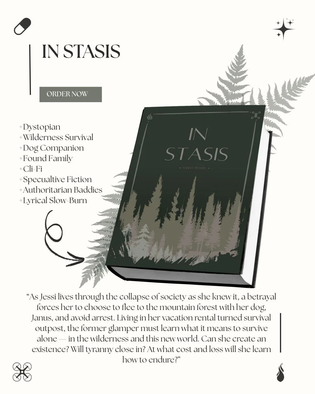 PAPRERBACK copy of In Stasis