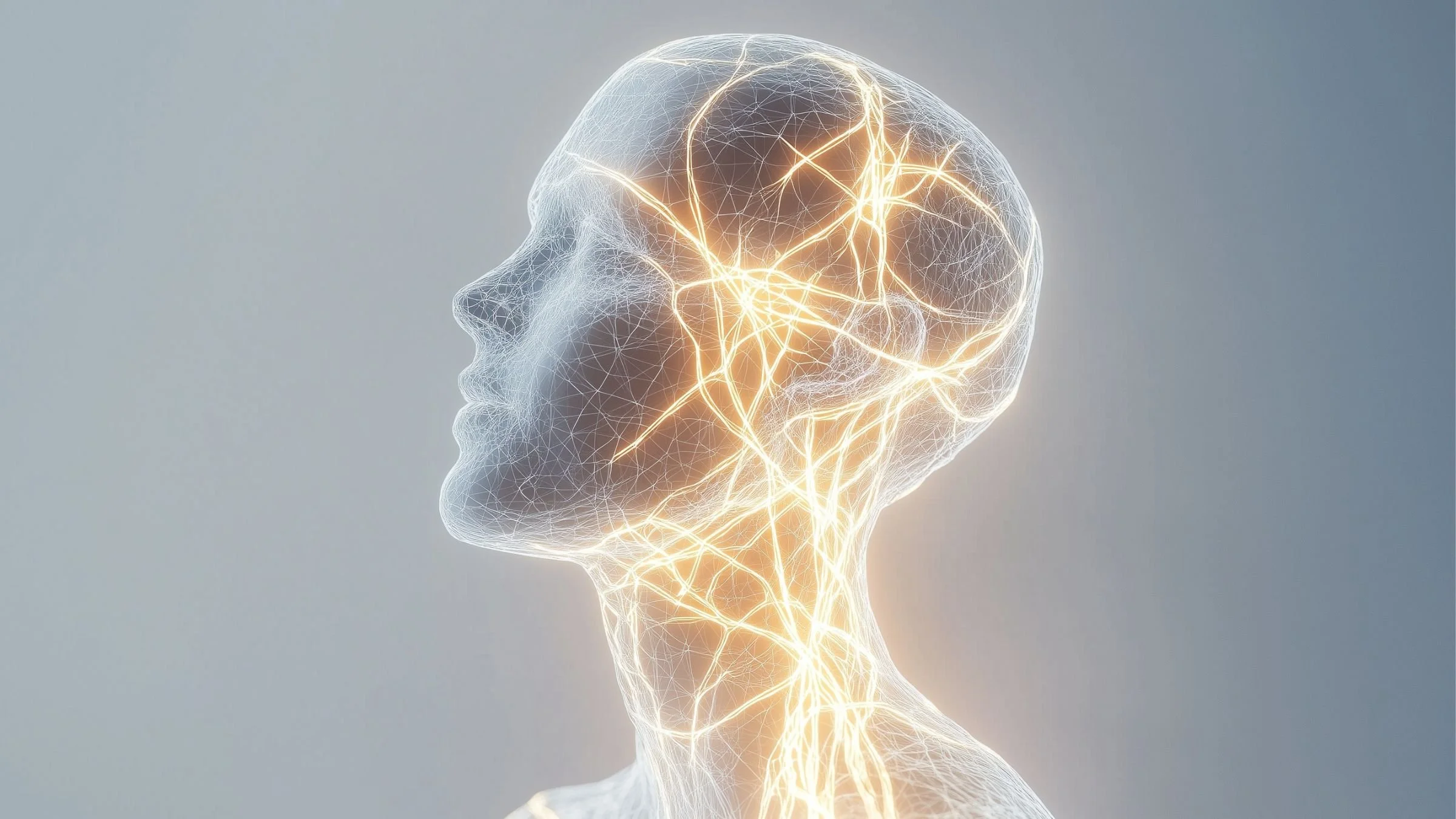 What are Neural Networks? A Breakdown of How AI Mimics the Human Brain
