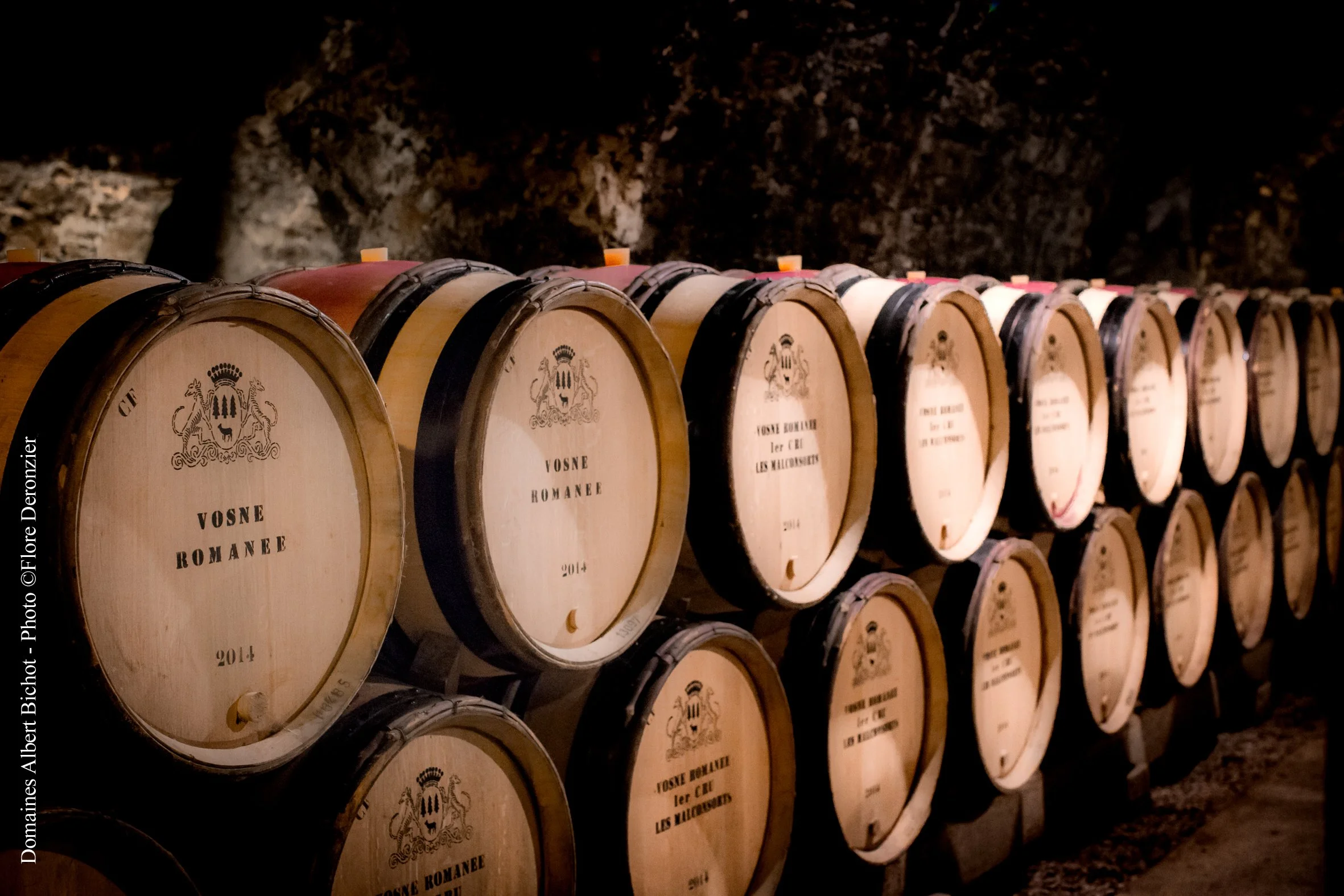 caves-clos-frantin-albert-bichot-2_1473685417.jpg