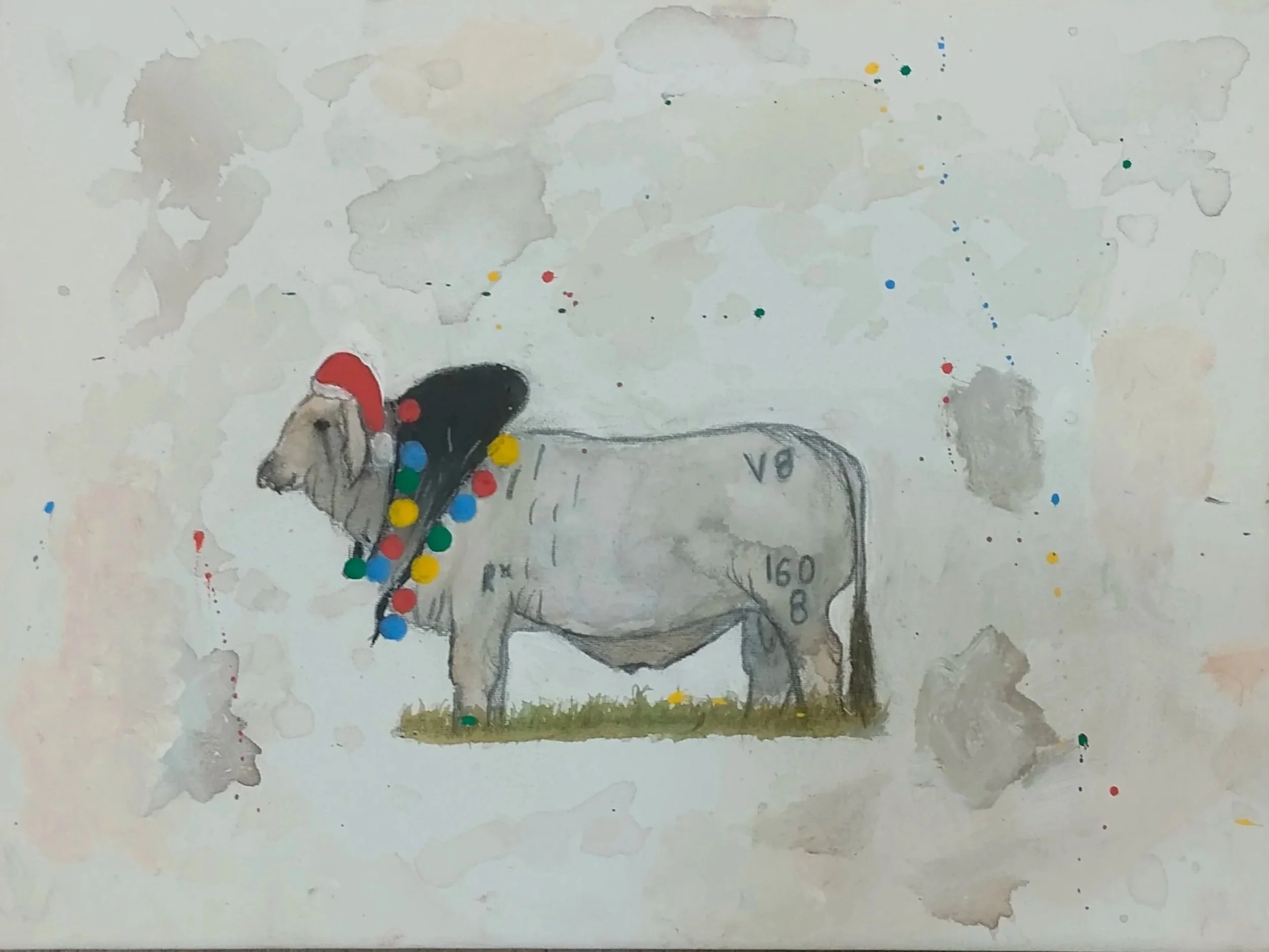 Matilda Crombie, Brahman at Christmas, watercolour on canvas, 30cm x 40cm.
