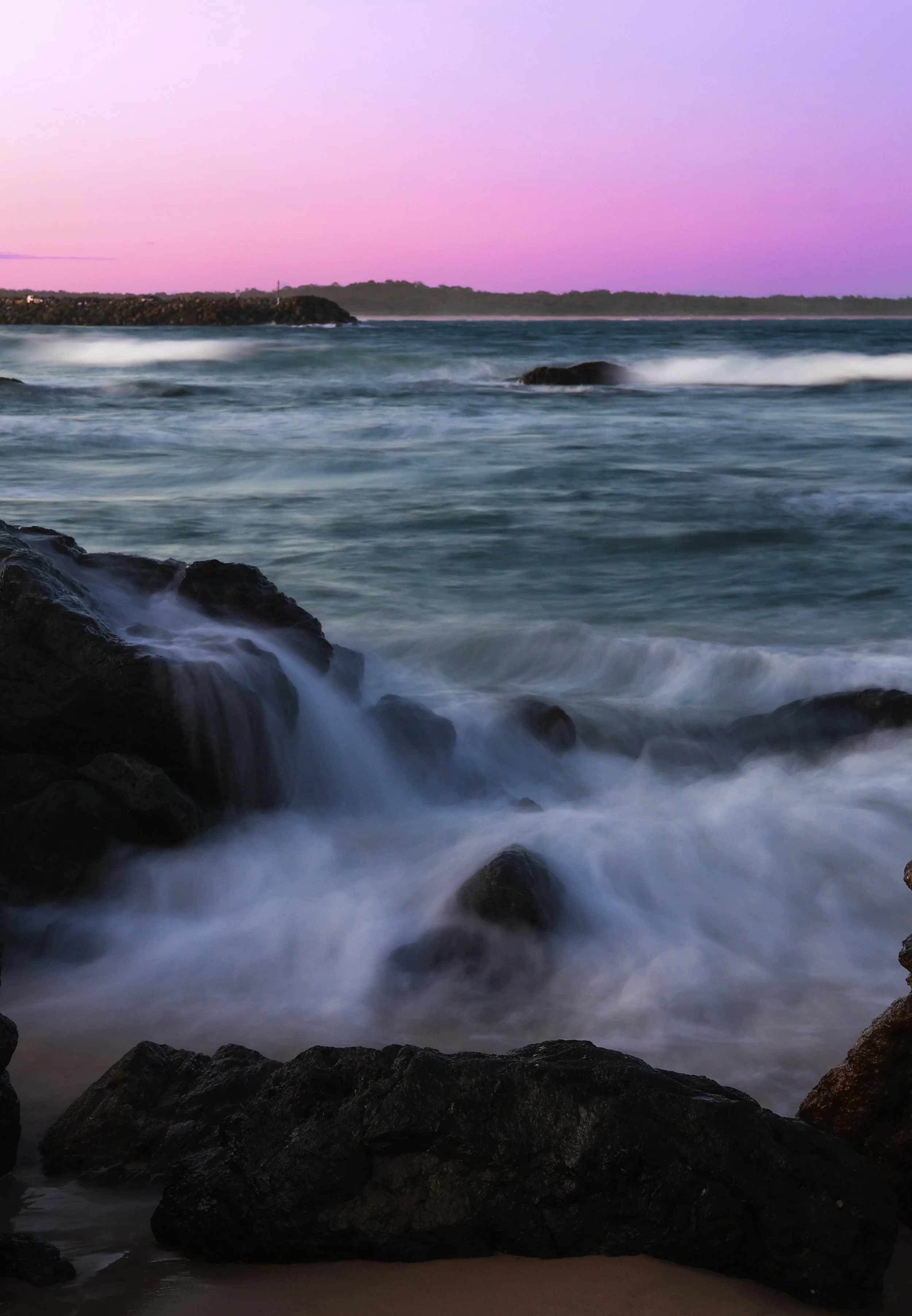 Katie Chambers, Lavender Light.