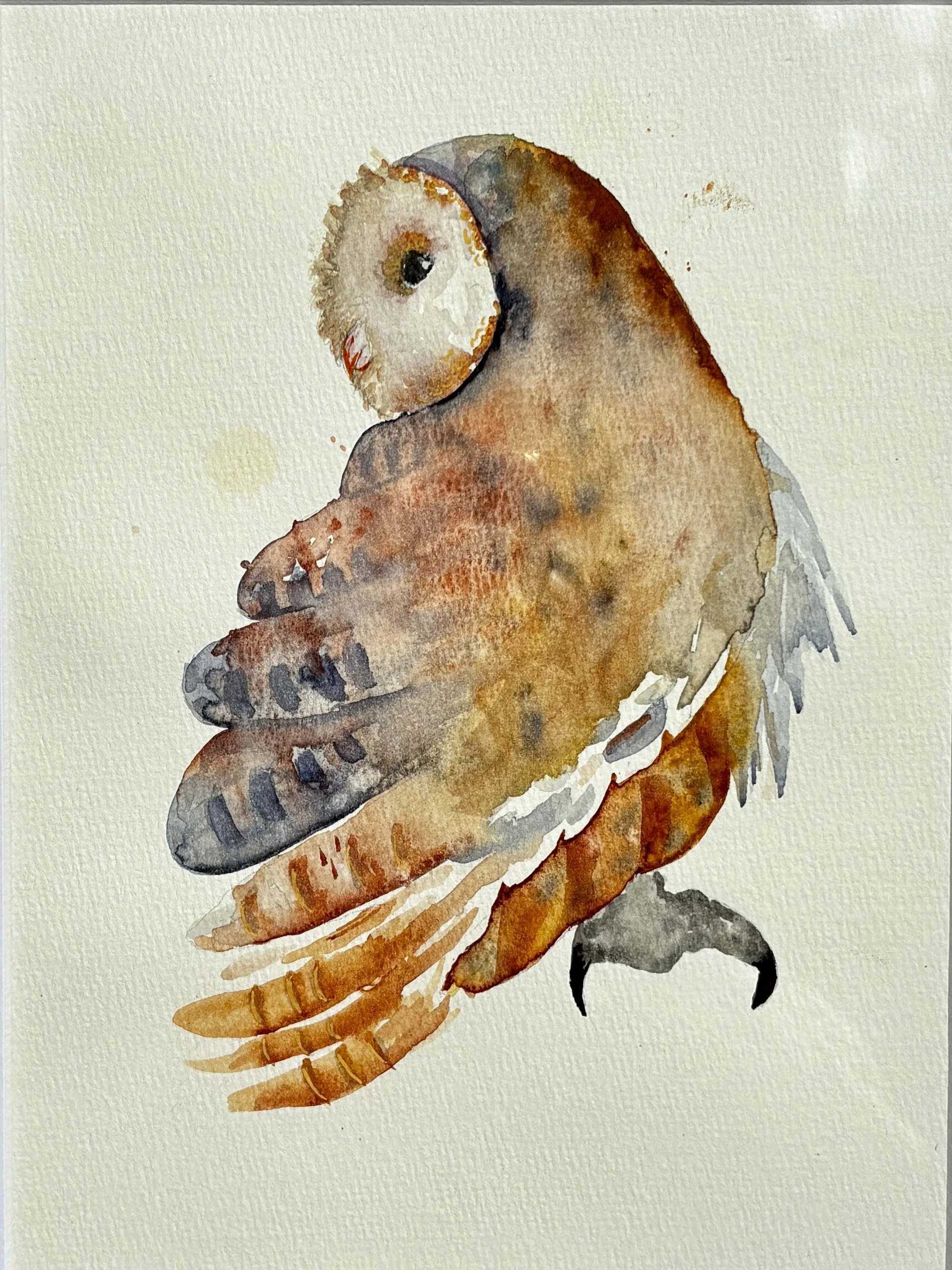 Blue Feathers watercolour wins People’s Choice