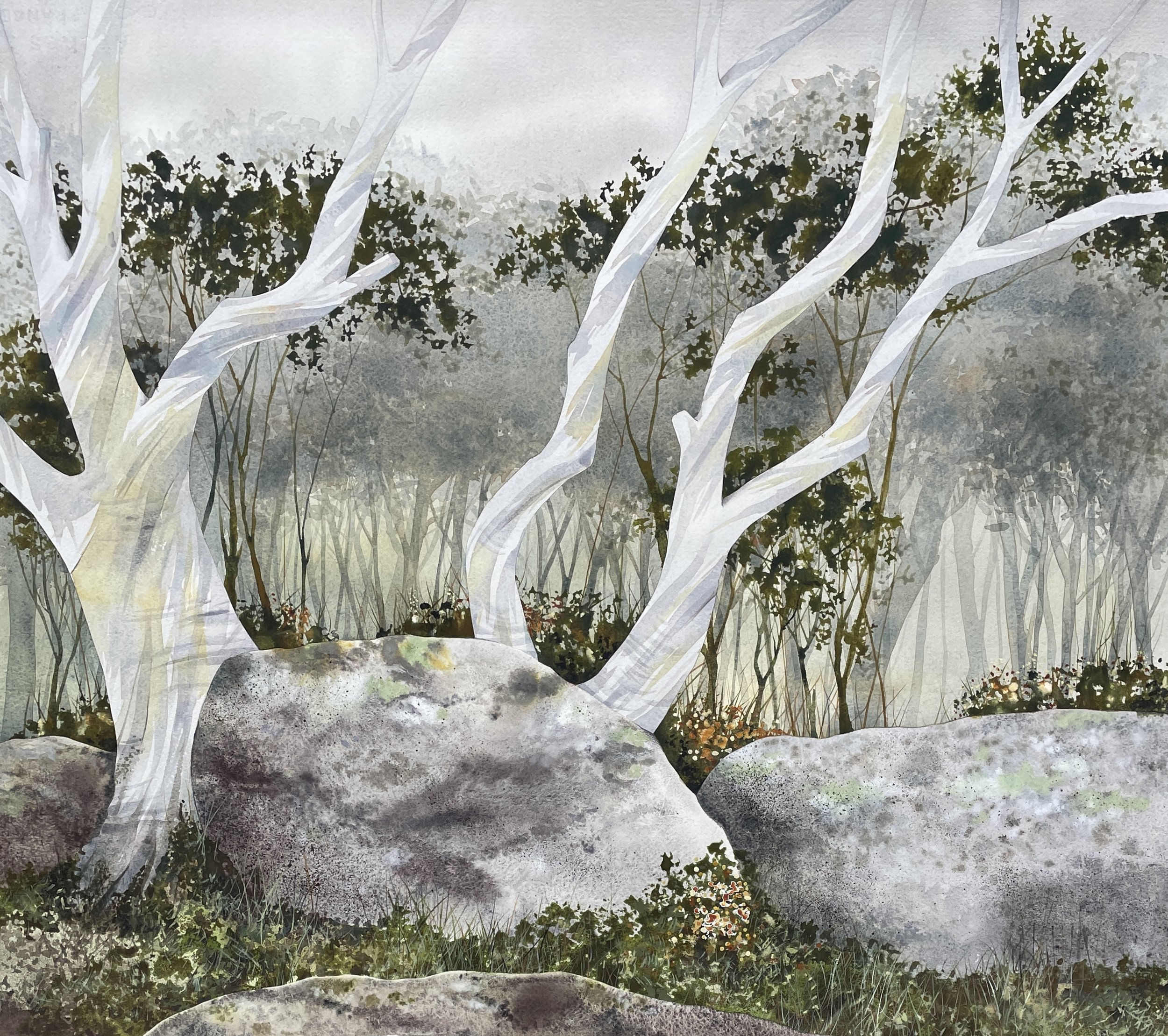 Stu Doherty, Kosciuszko, watercolour on cotton paper, 65cm x 54cm. $1600