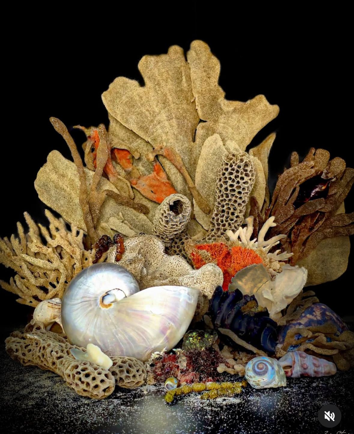 Zen Steep, Offshore, still life photography, 36 x 43cm. $75