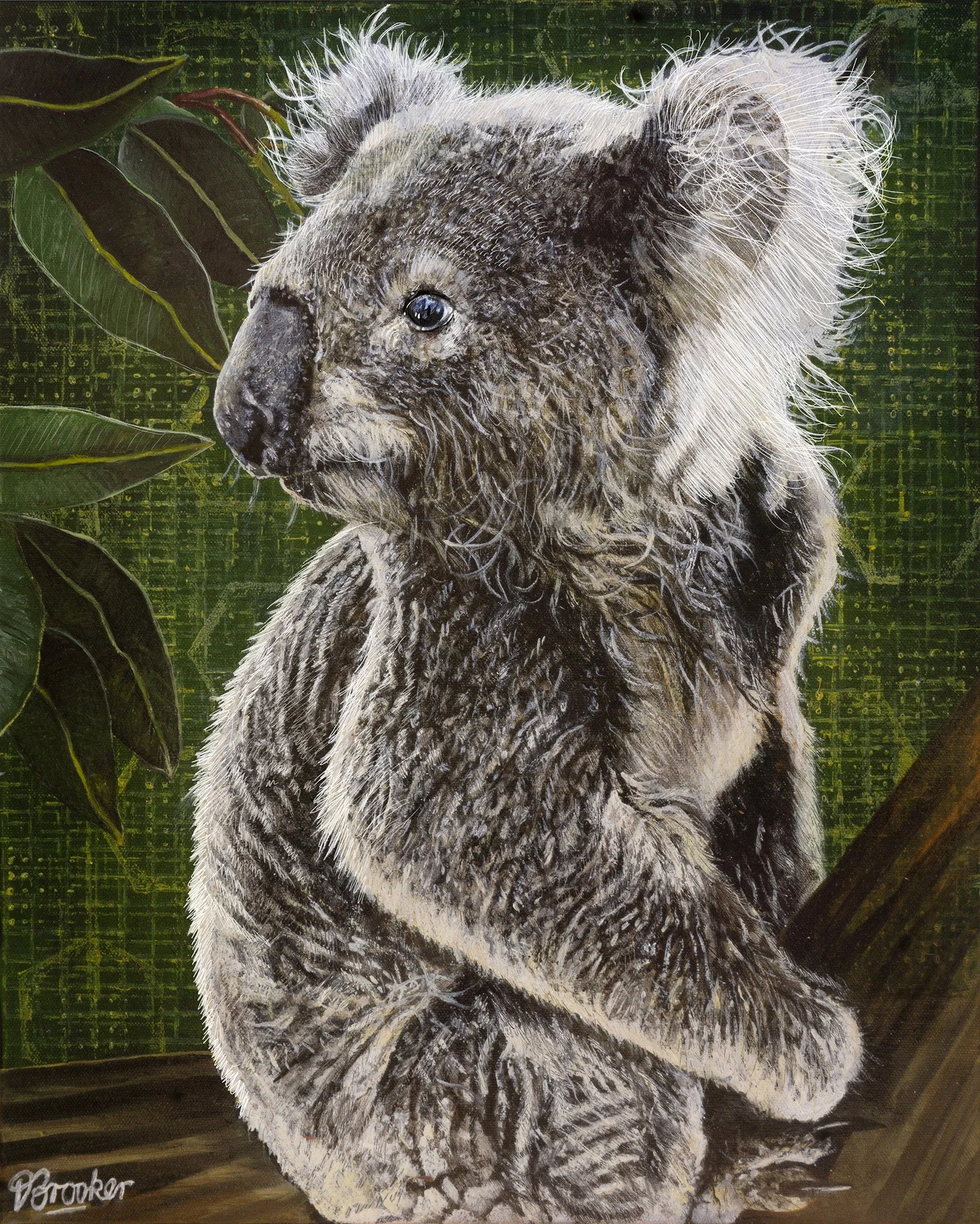 David Brooker, Eucalyptus Dreams, oil on canvas, 50cm x 40cm. $650