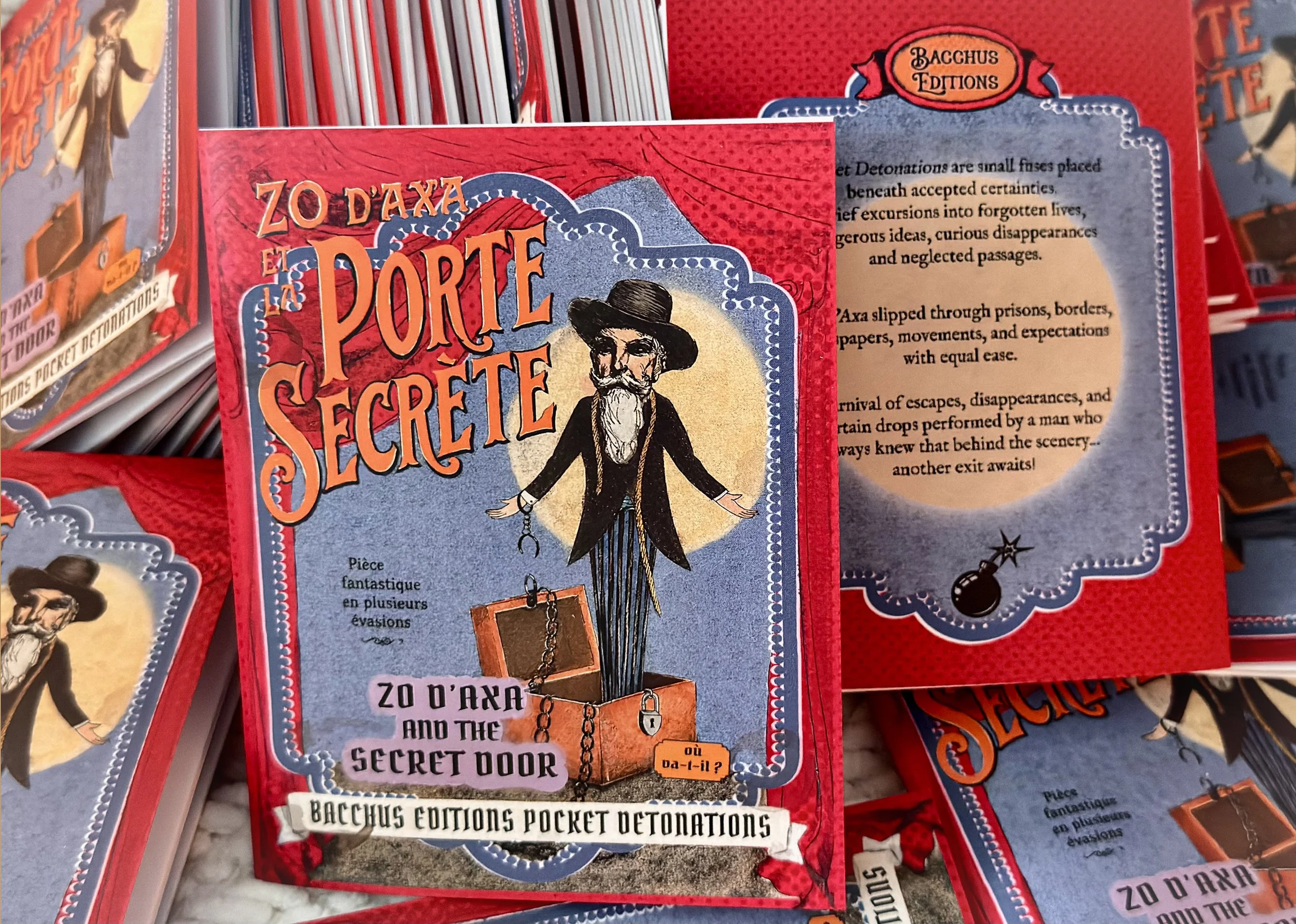 Introducing Pocket Detonations with the release of Book 1: Zo d’Axa and the Secret Door