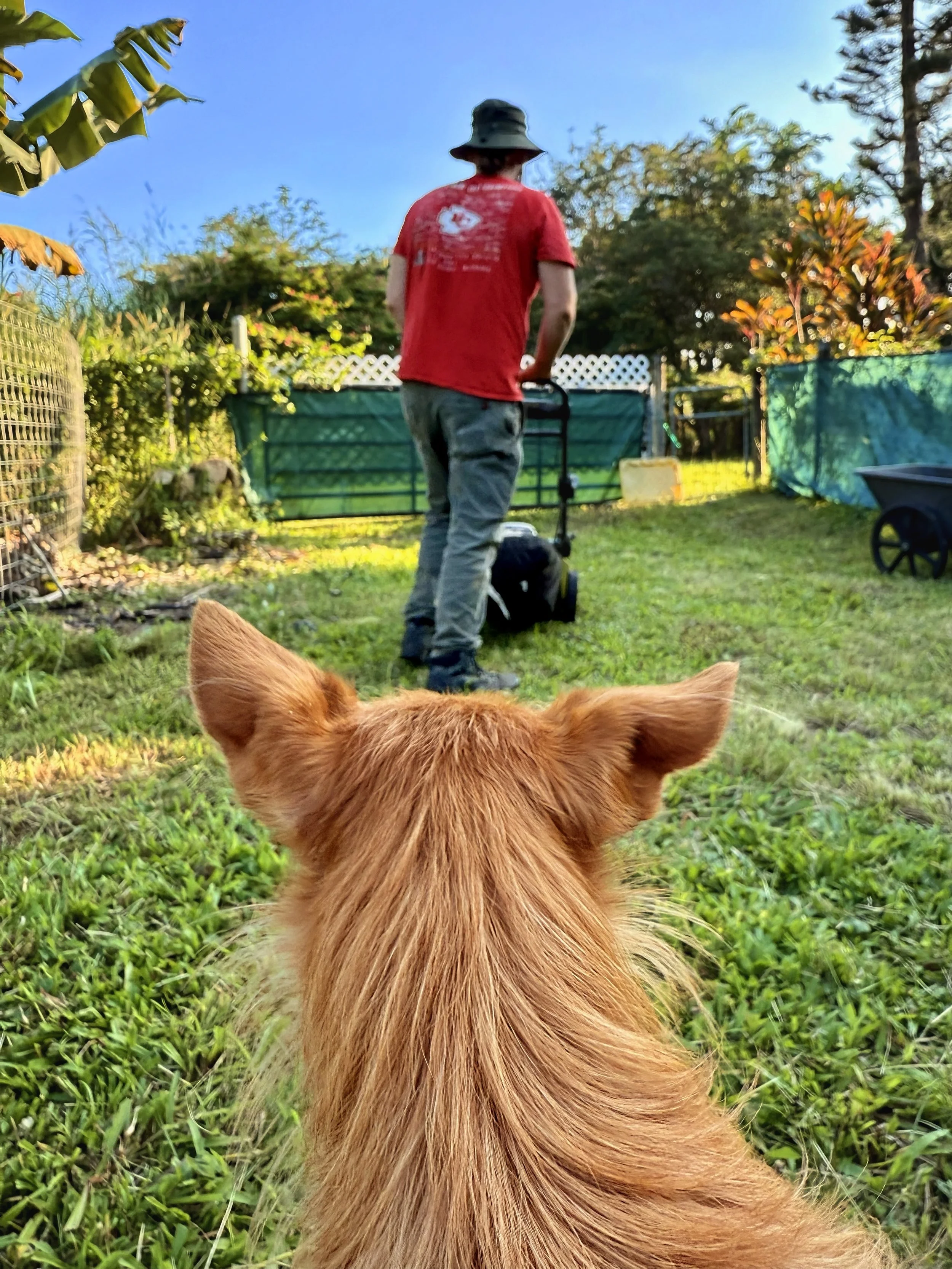 Setting up Satellite