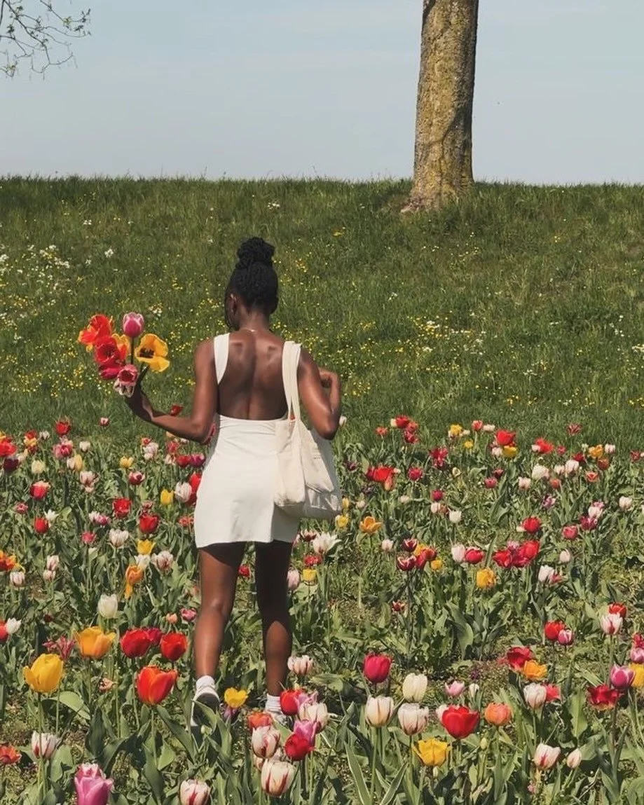 Tulips blooming, sun shining, mood = unmatched 💐💛

#FictionandFlorals #PetalsandPages #PetalPusher