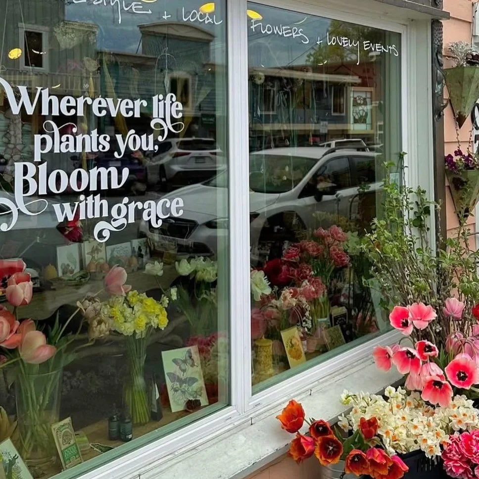 Even the wildest winds can&rsquo;t stop a flower determined to grow.💐
#FictionandFlorals