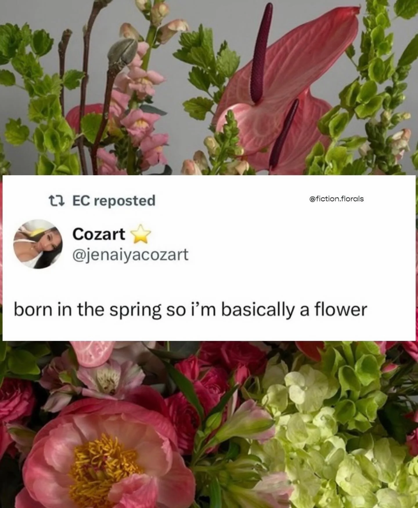 🌸 Forever a flower child, forever finding beauty in every season.
#FictionandFlorals