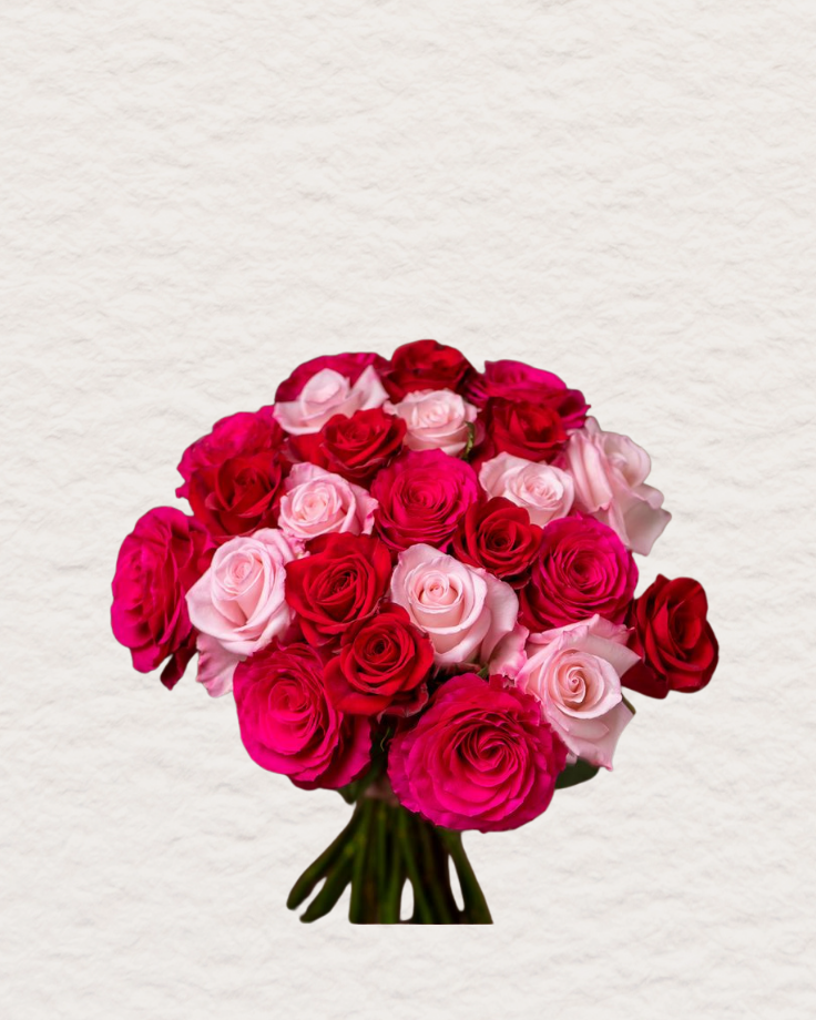 big feelings (1).png