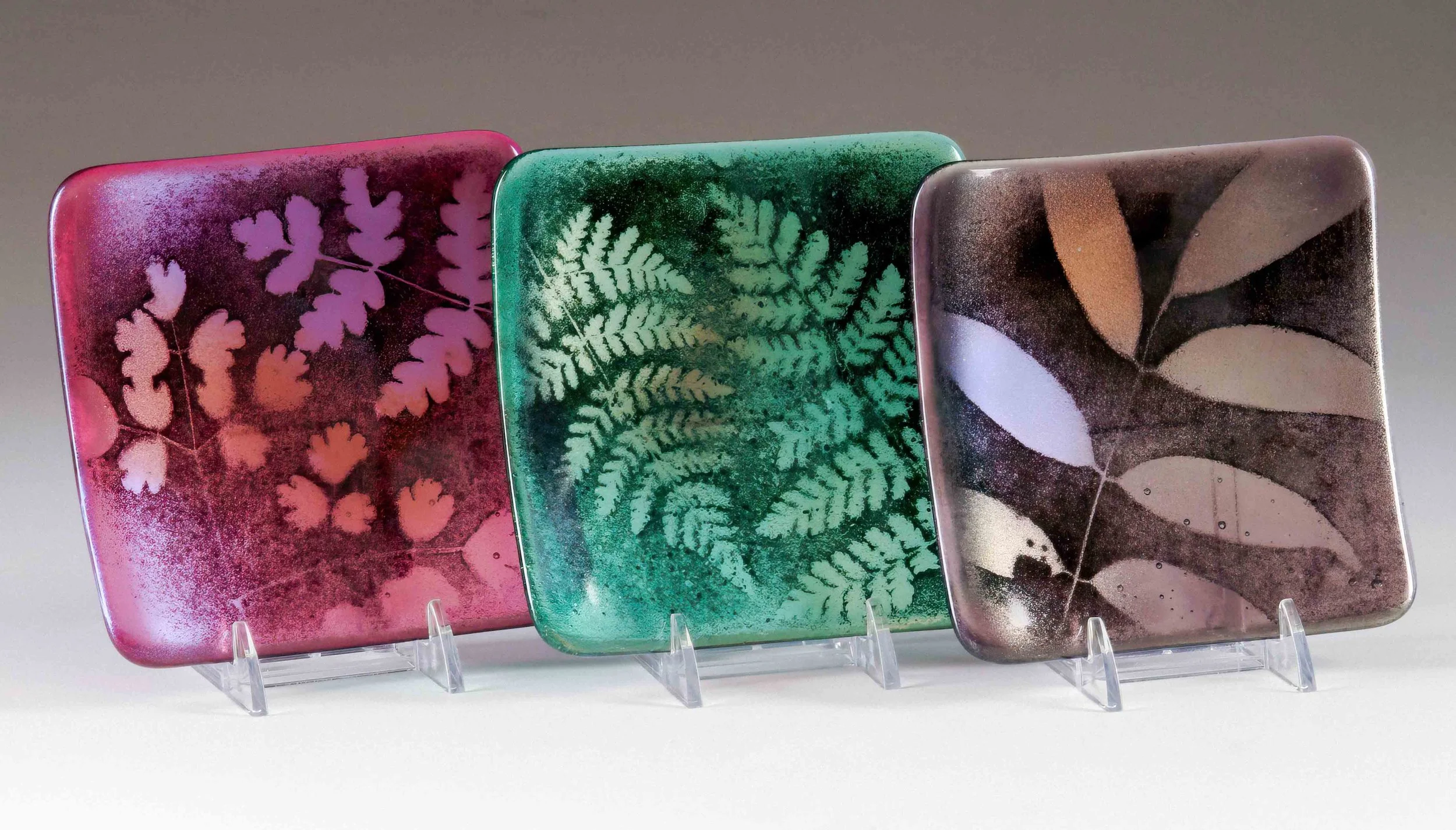 "Botanical Plates", fused glass, 