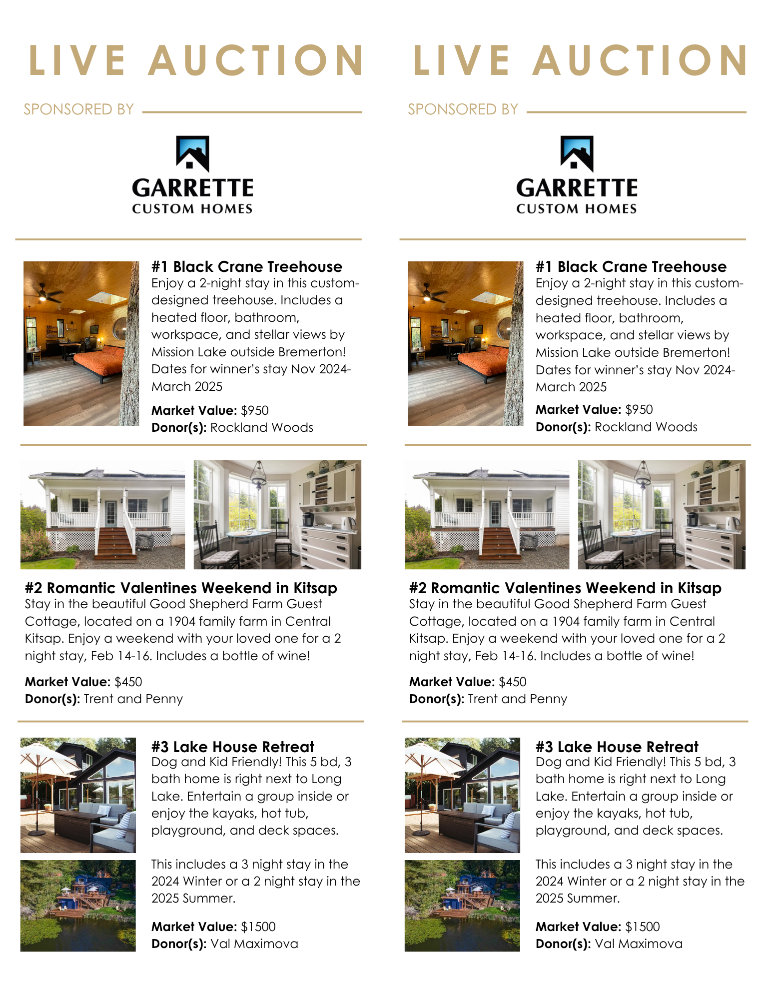 Live Auction Cards 2024 Hope Gala.png