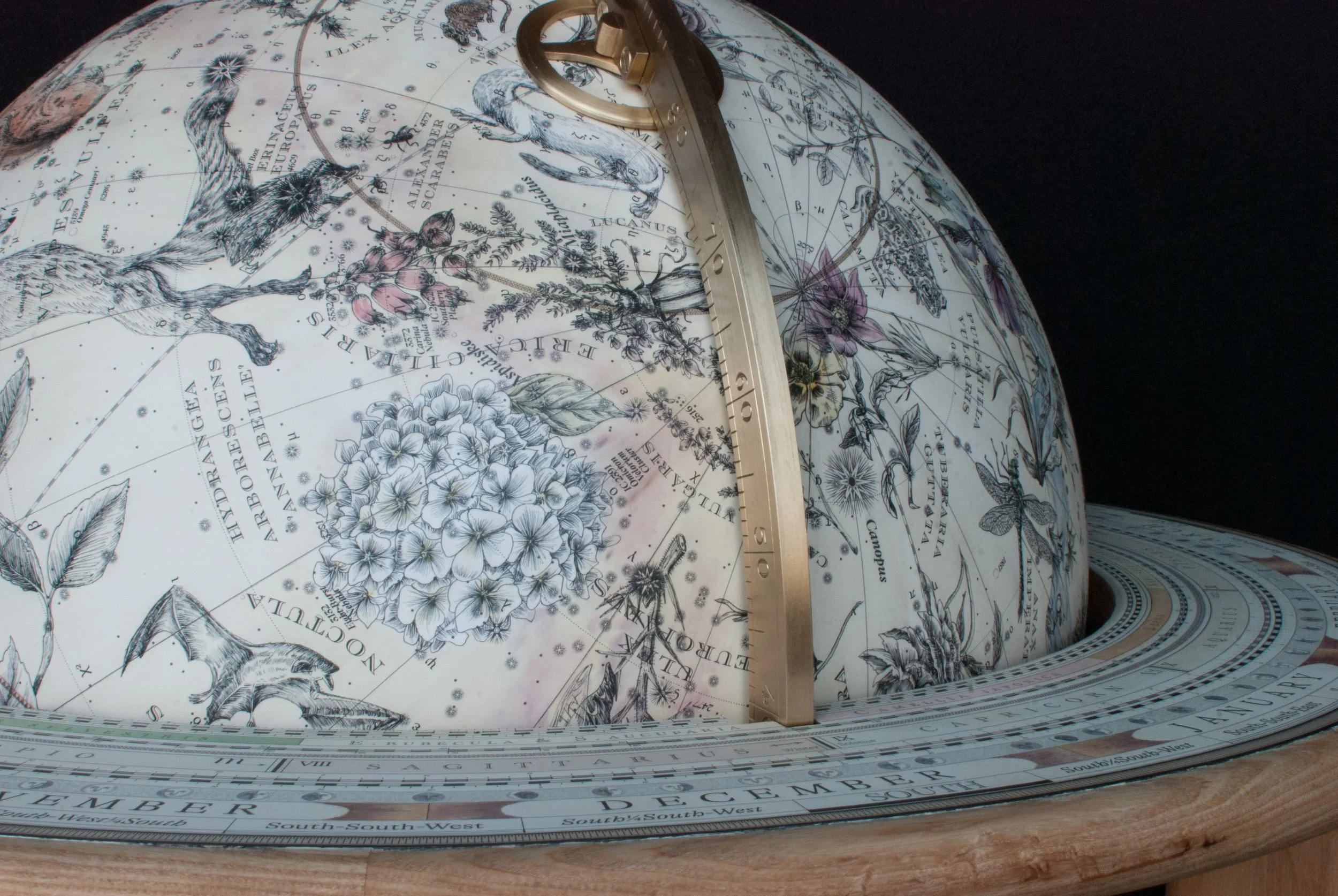 DSC_2015.jpg
